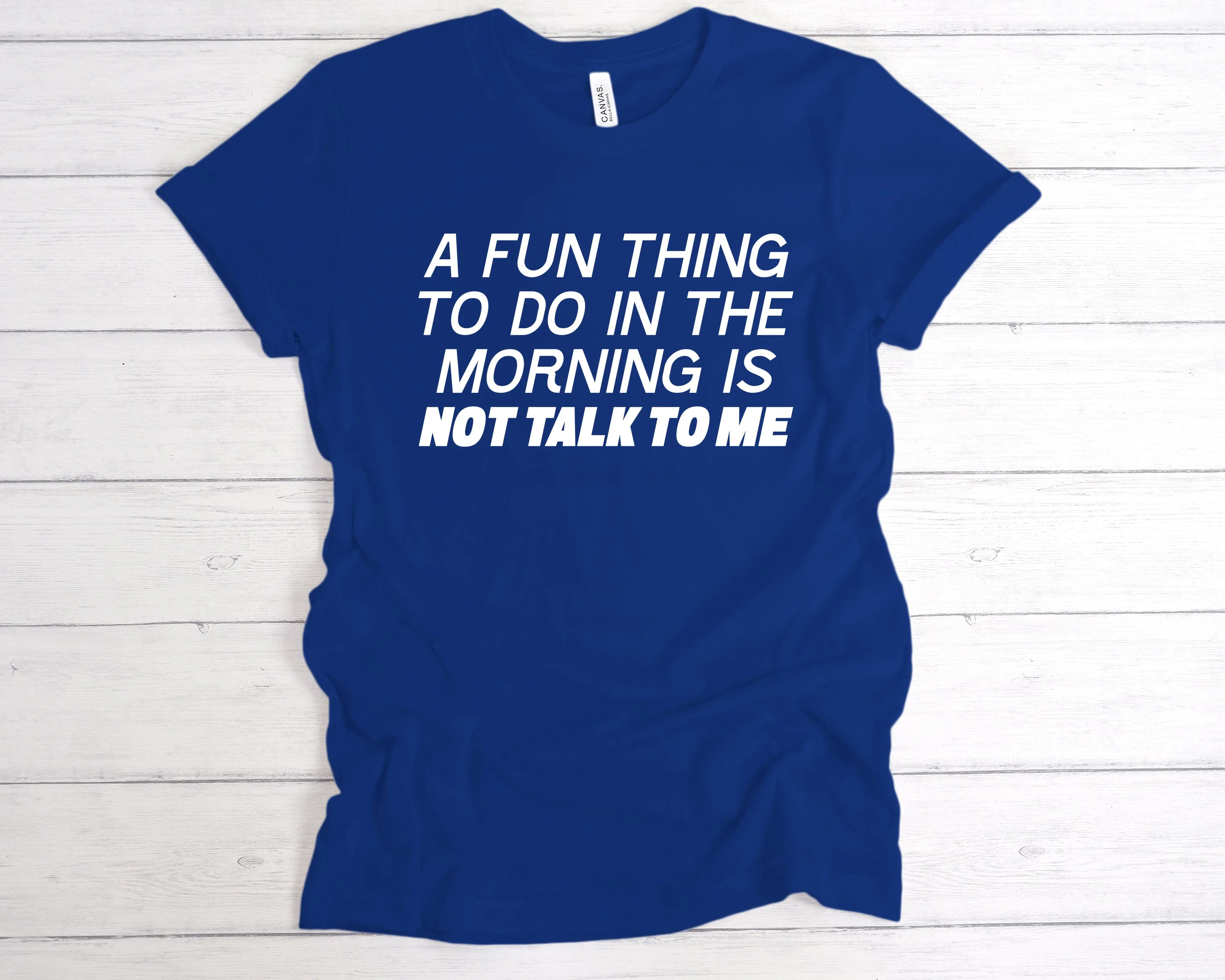 A Fun Thing To Do In the Morning Is Not Talk To Me T-Shirt