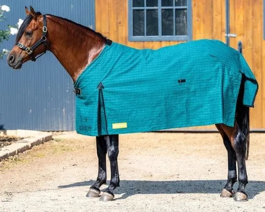 Academy Canvas Rug