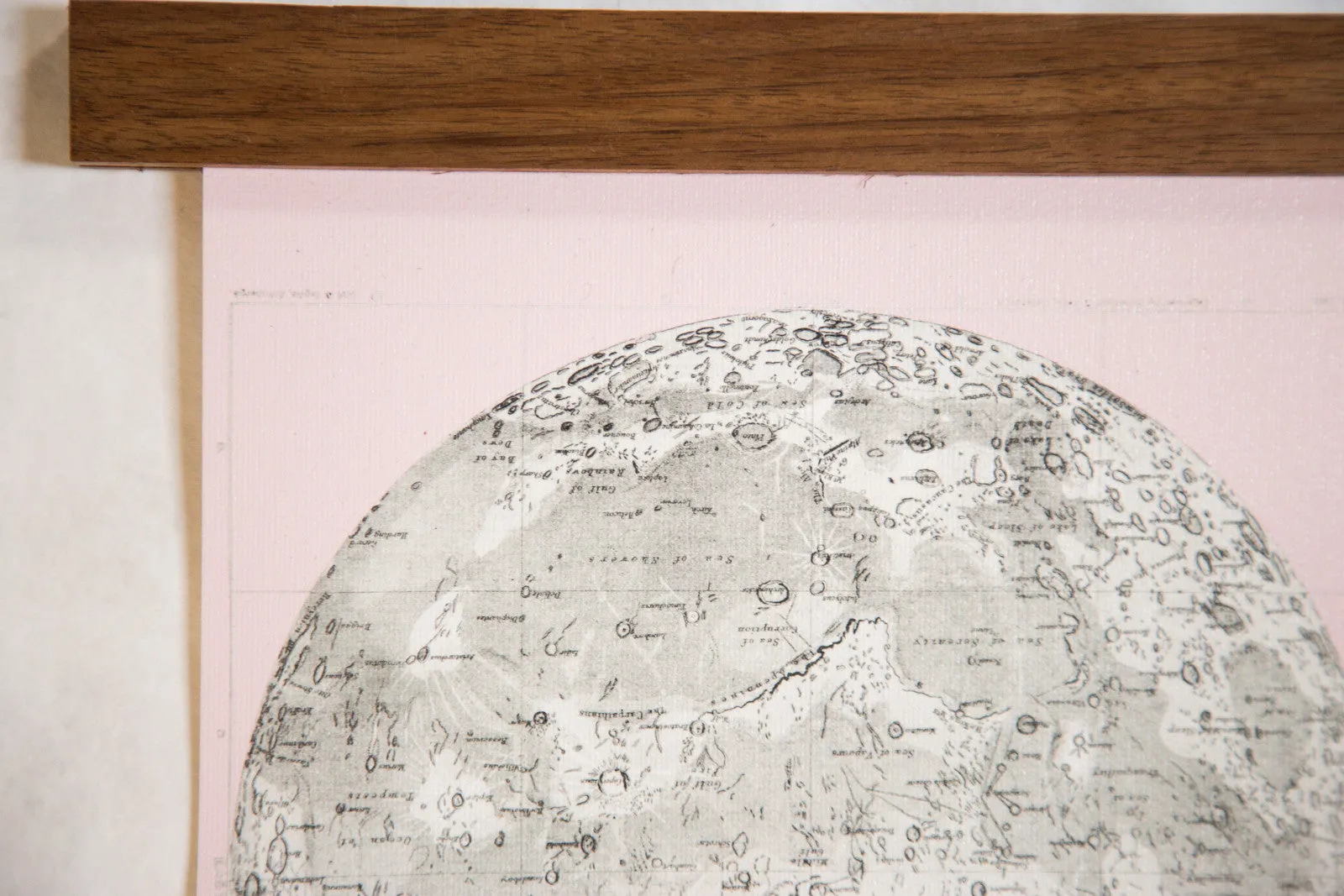 Antique Moon Chart Pull Down Revival in Pink