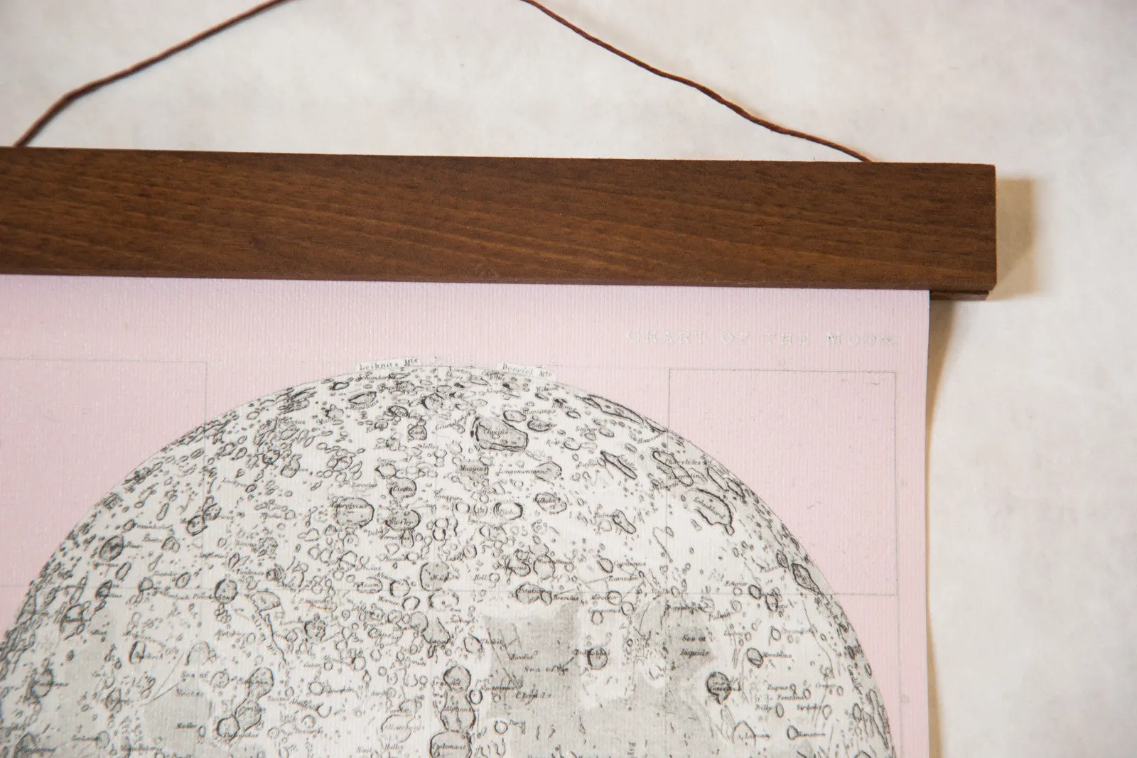 Antique Moon Chart Pull Down Revival in Pink