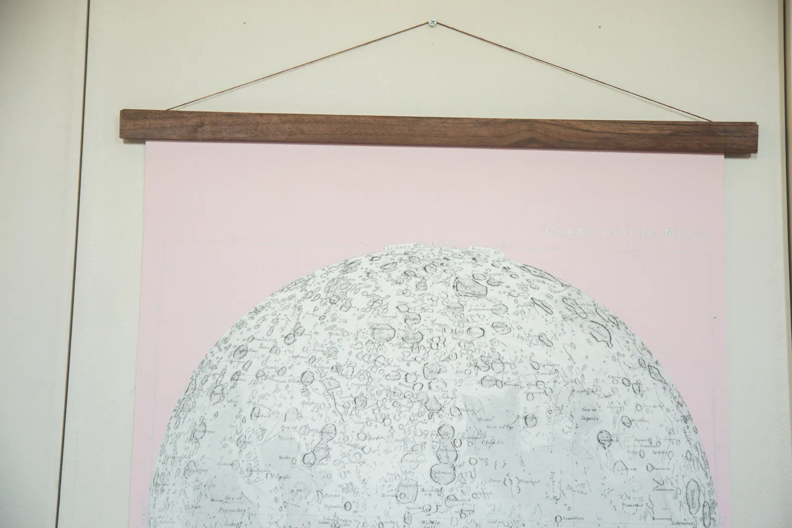 Antique Moon Chart Pull Down Revival in Pink