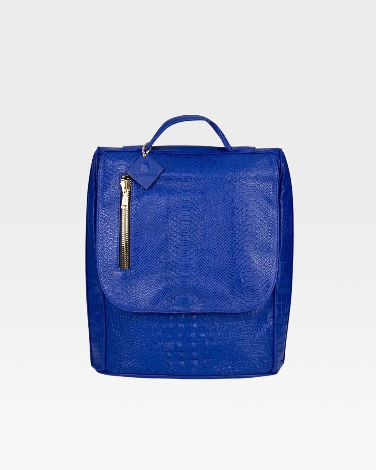 Apollo 2 Regular Backpacks