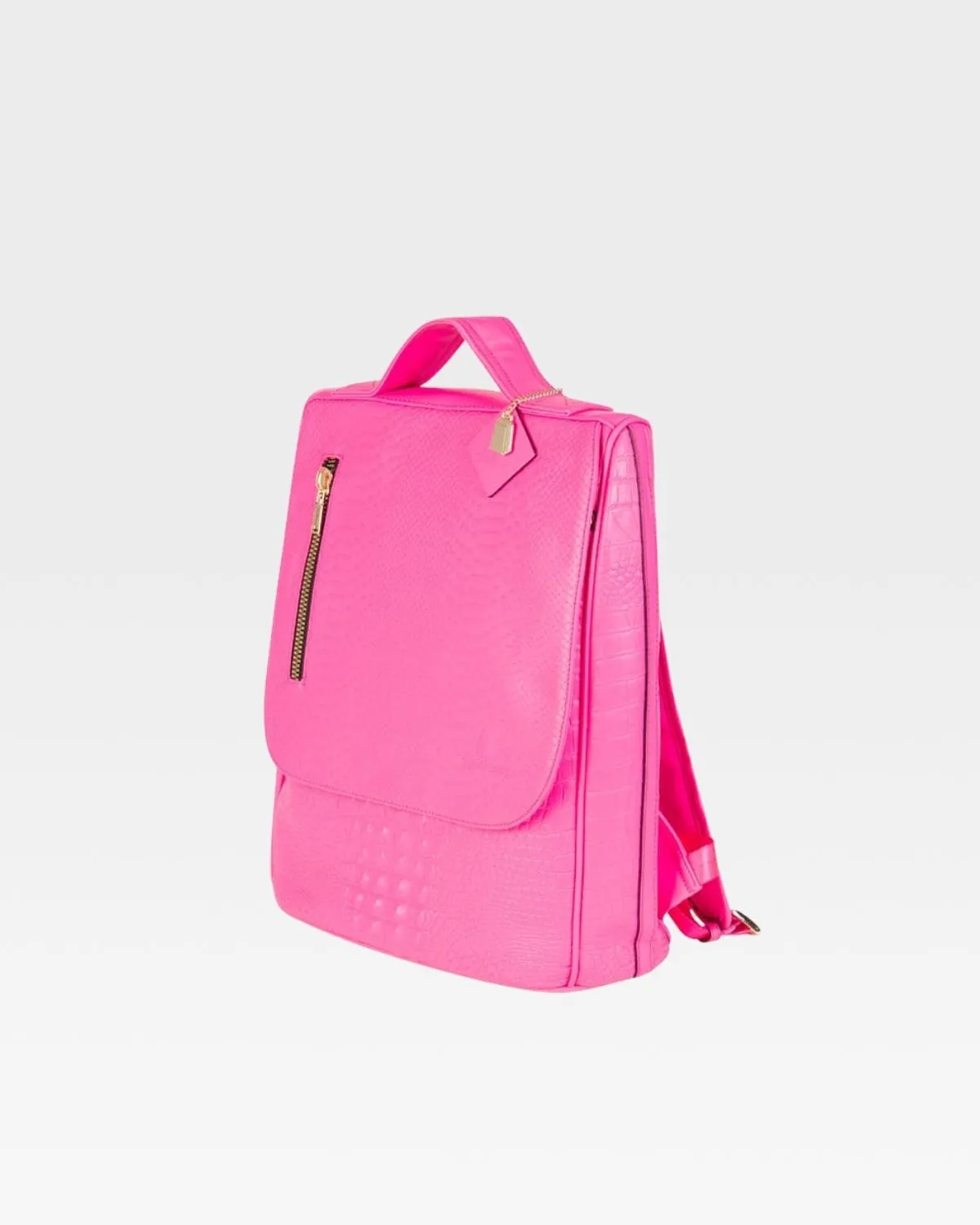 Apollo 2 Regular Backpacks