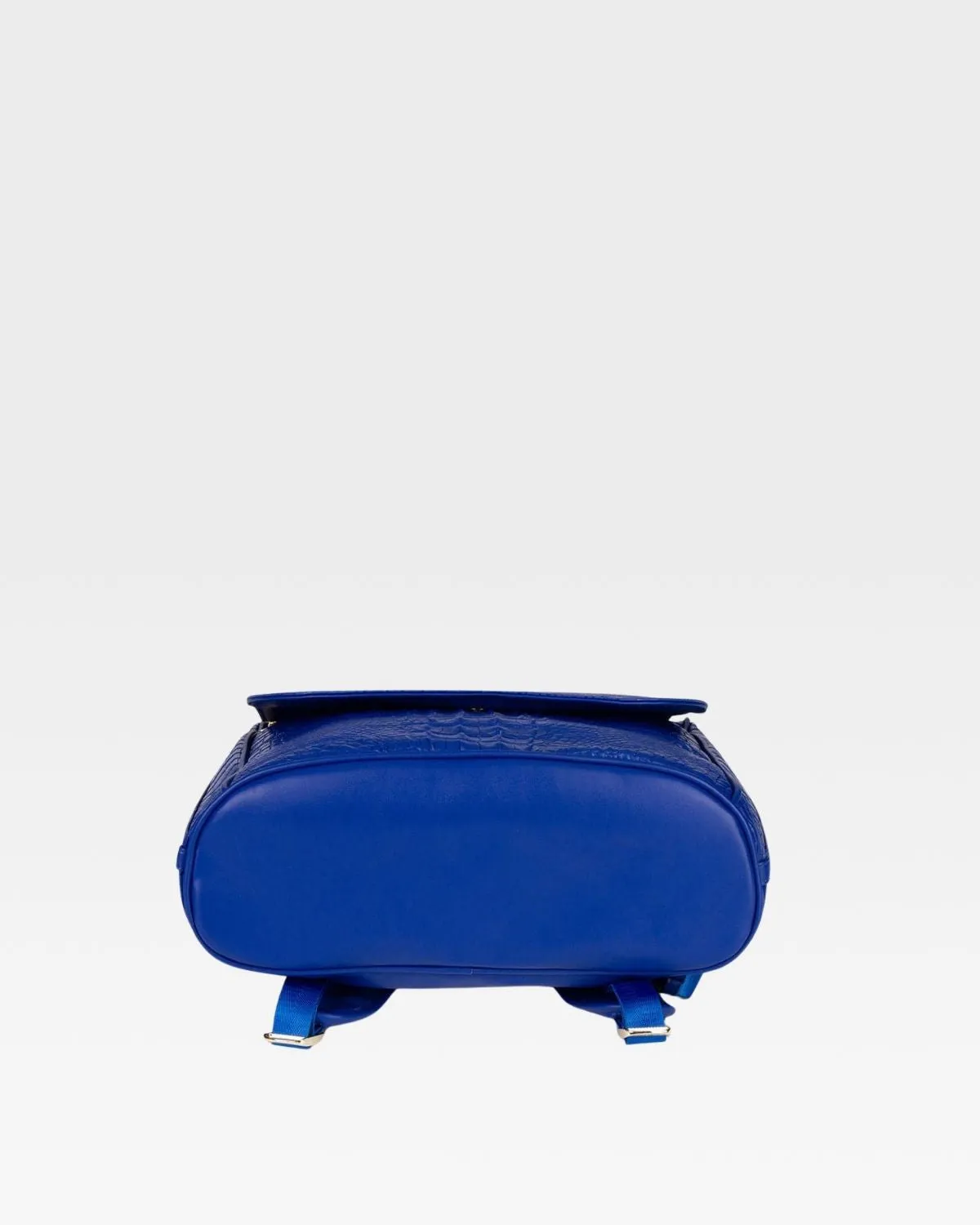 Apollo 2 Regular Backpacks
