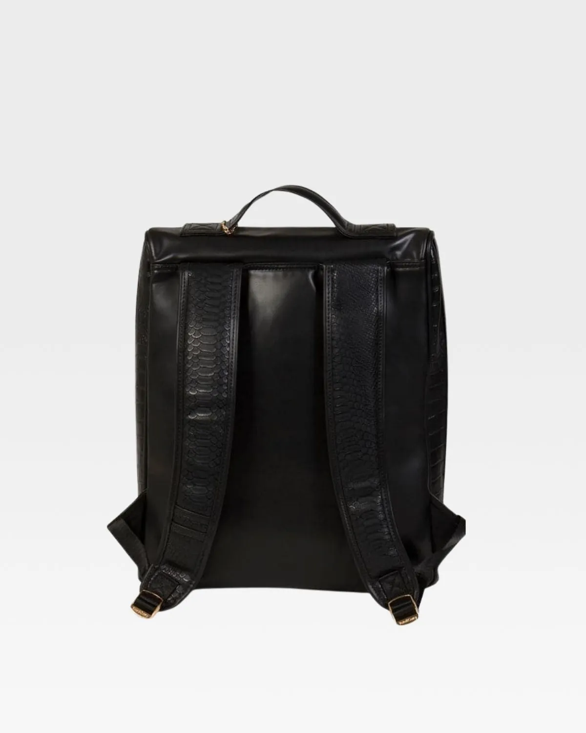Apollo 2 Regular Backpacks