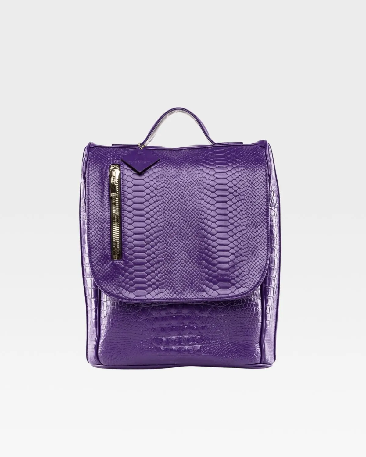 Apollo 2 Regular Backpacks