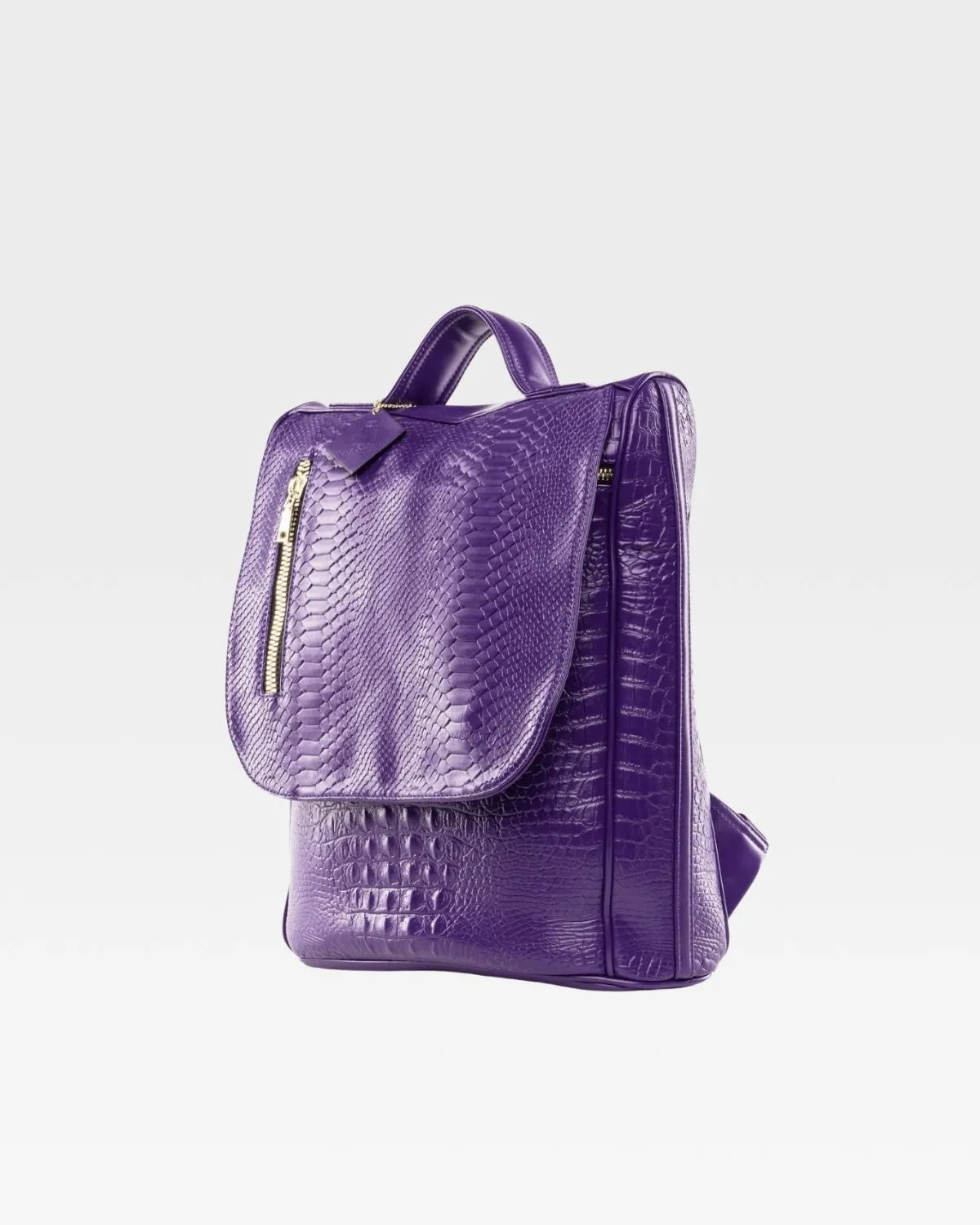 Apollo 2 Regular Backpacks