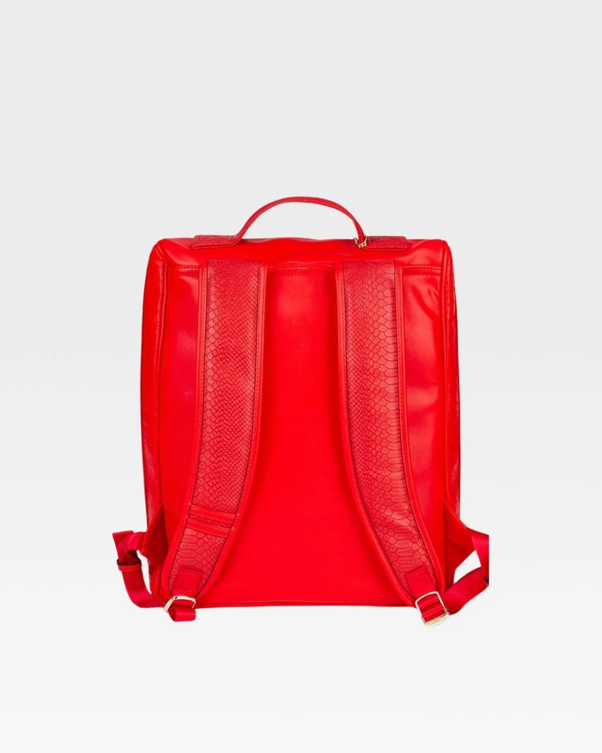 Apollo 2 Regular Backpacks