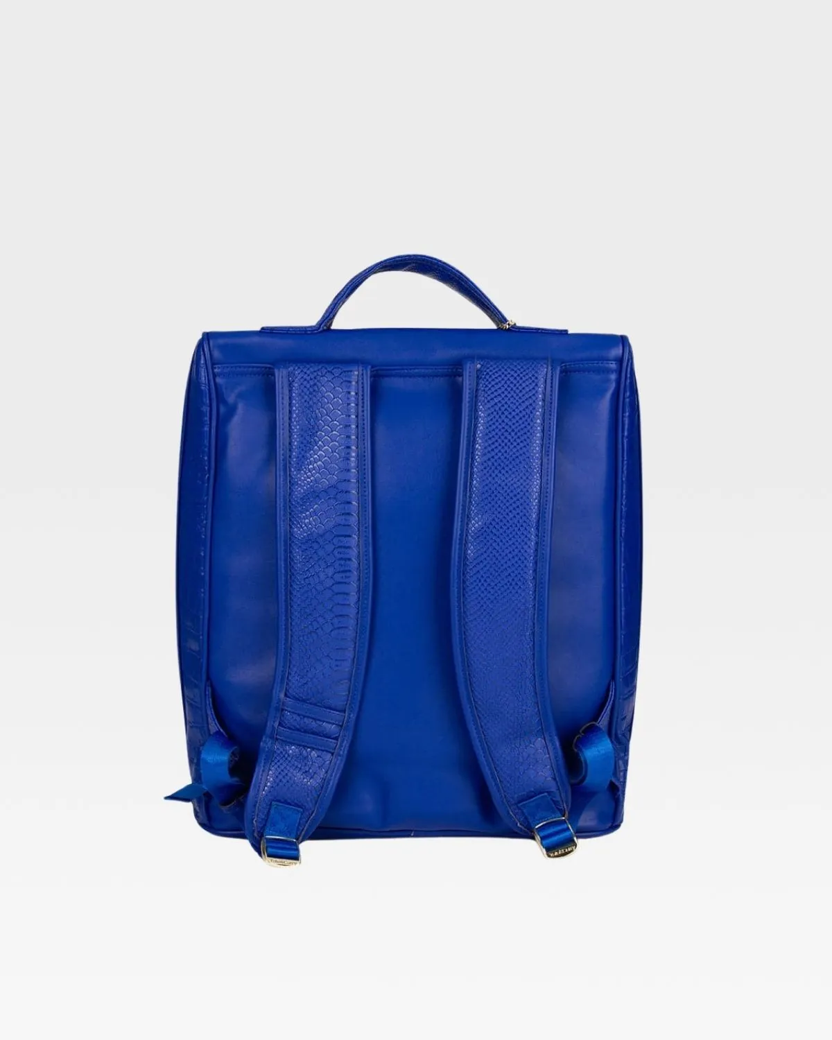 Apollo 2 Regular Backpacks