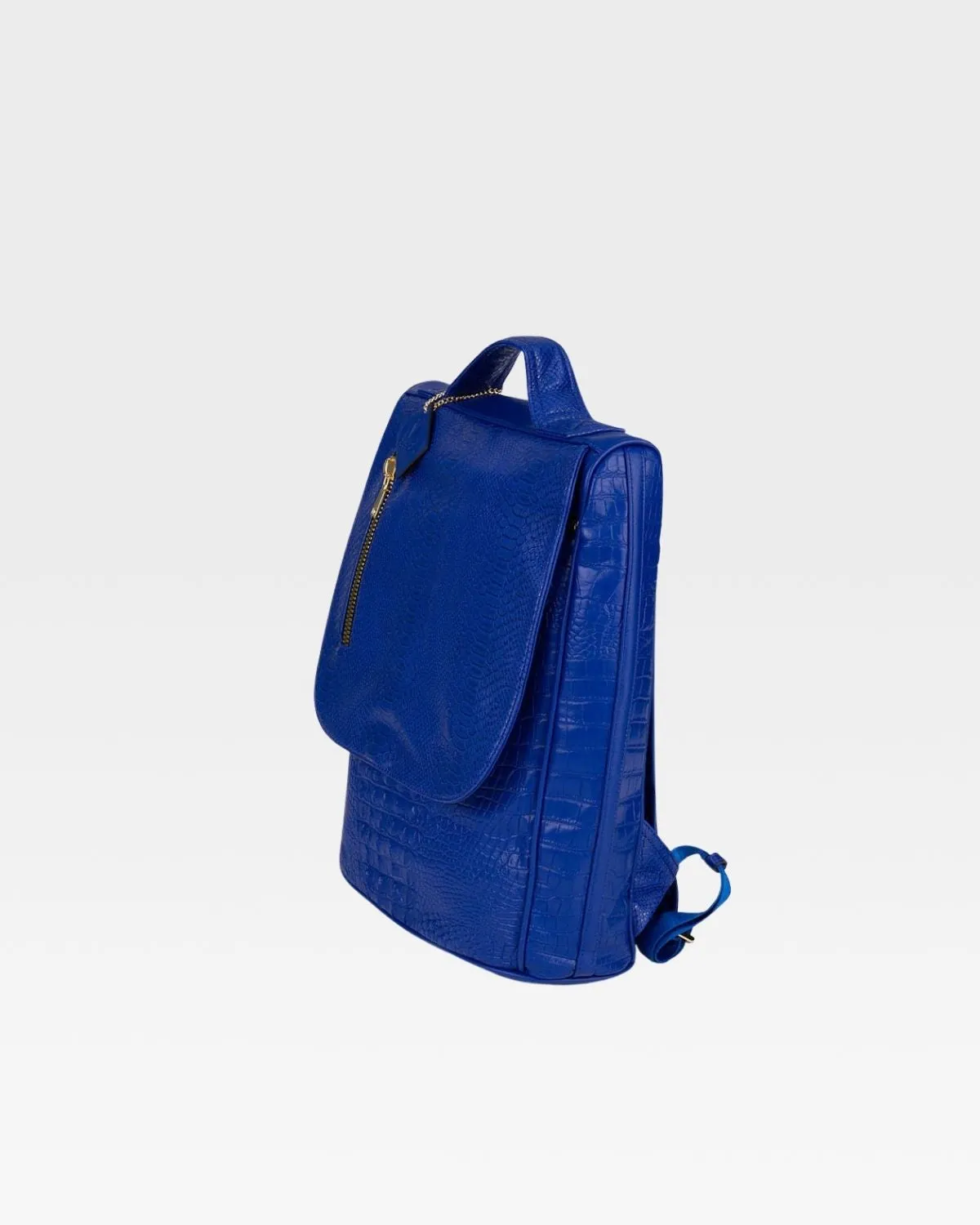 Apollo 2 Regular Backpacks