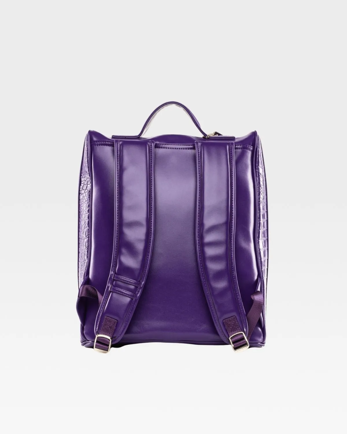 Apollo 2 Regular Backpacks