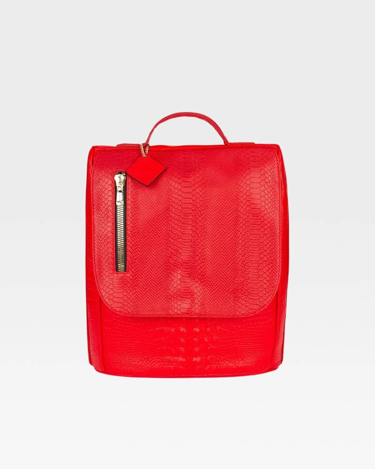 Apollo 2 Regular Backpacks