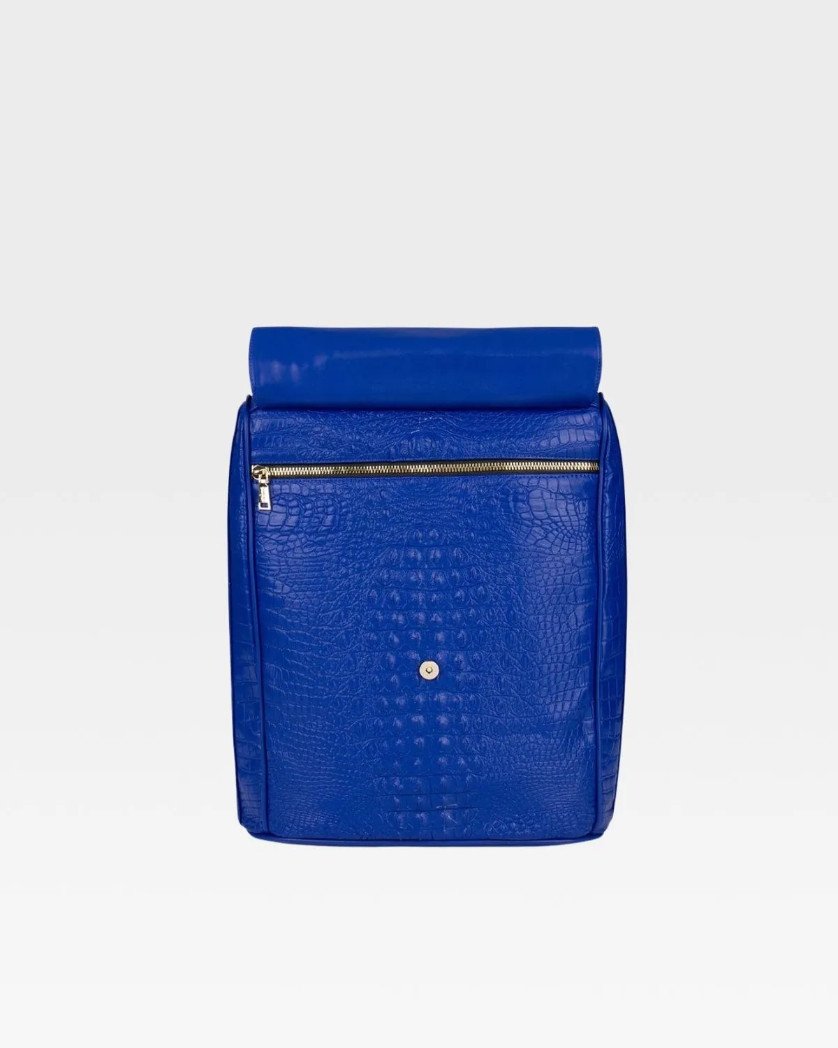 Apollo 2 Regular Backpacks