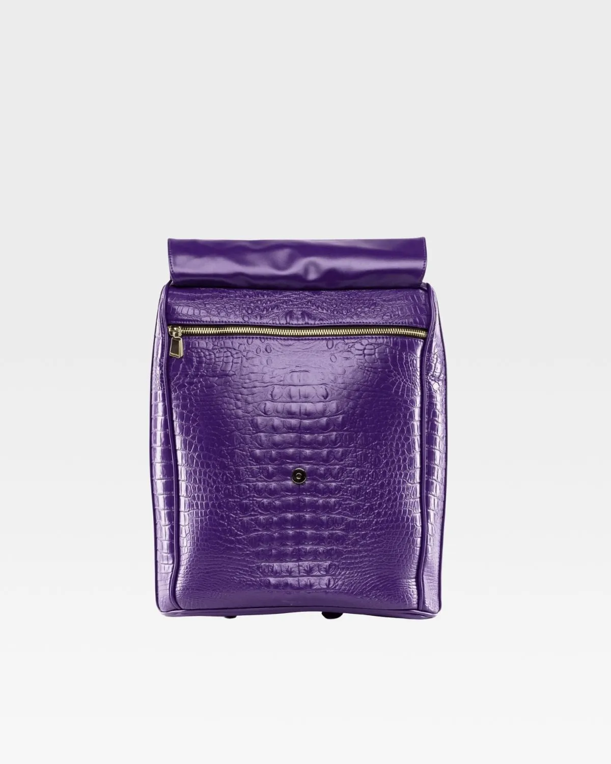 Apollo 2 Regular Backpacks
