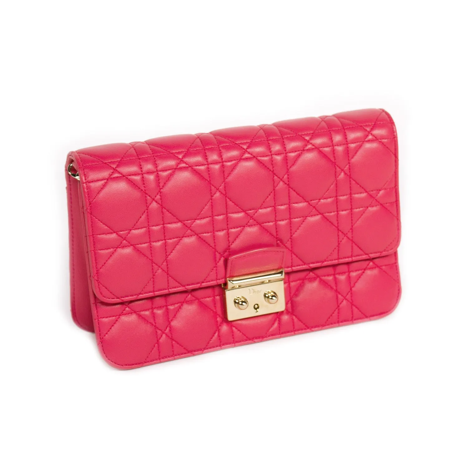 Christian Dior Miss Dior Promenade Pouch