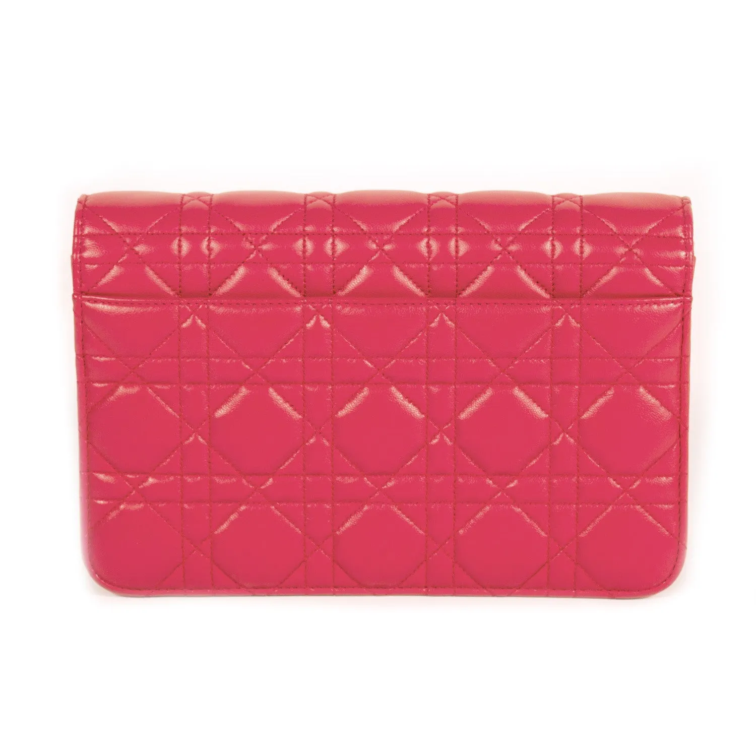 Christian Dior Miss Dior Promenade Pouch