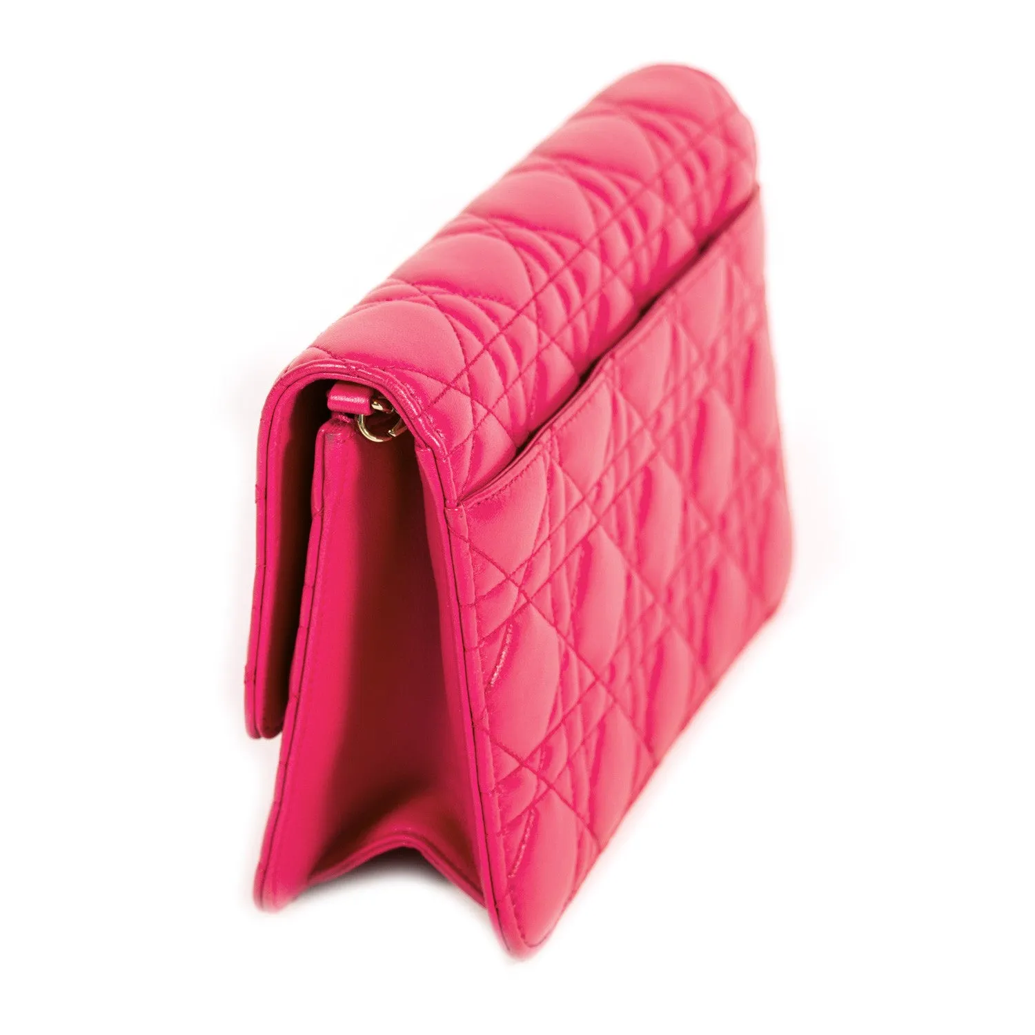 Christian Dior Miss Dior Promenade Pouch