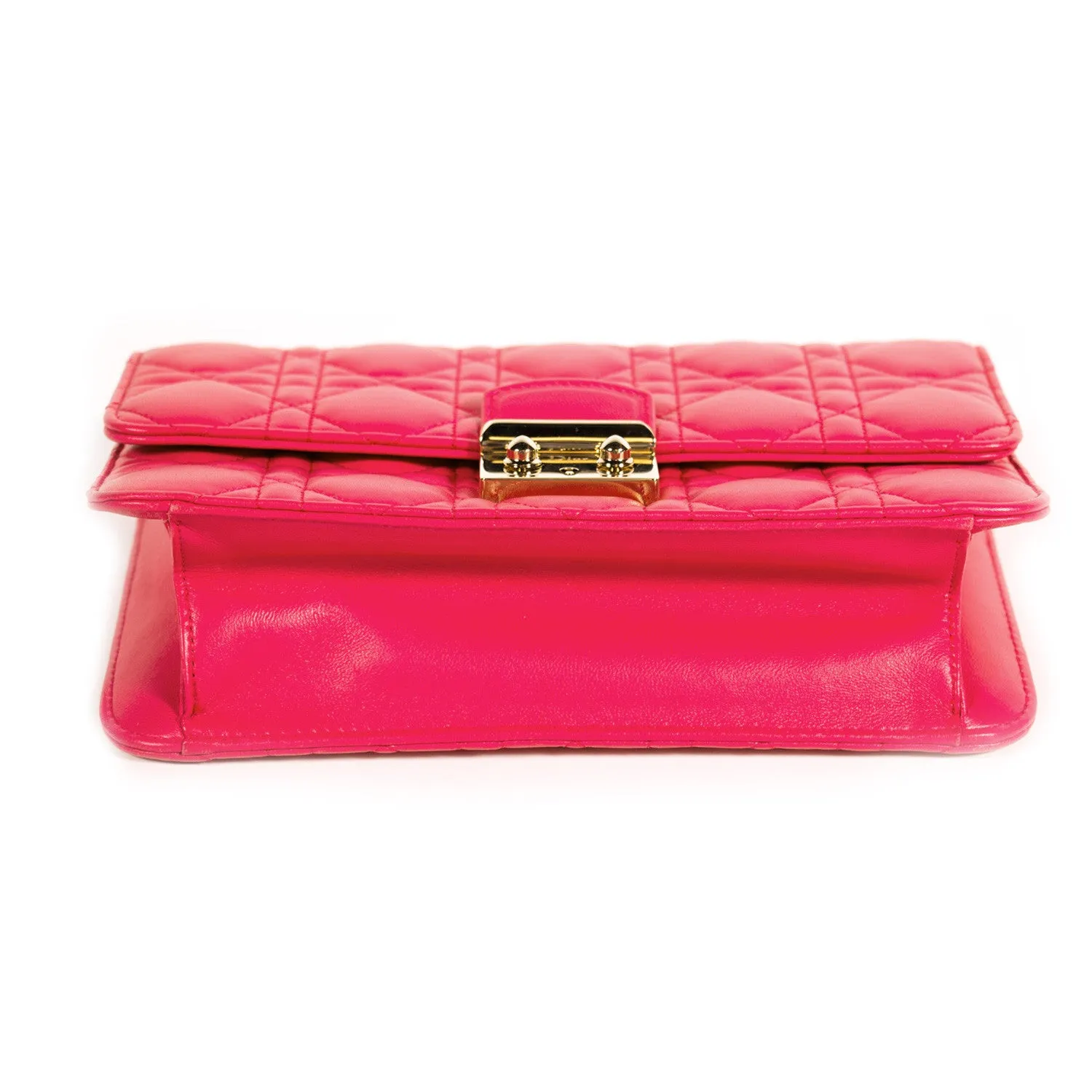 Christian Dior Miss Dior Promenade Pouch