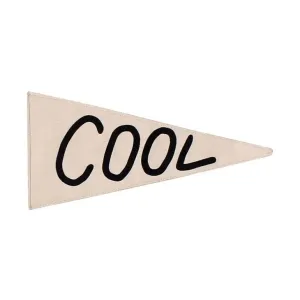 Cool Mini-Pennant