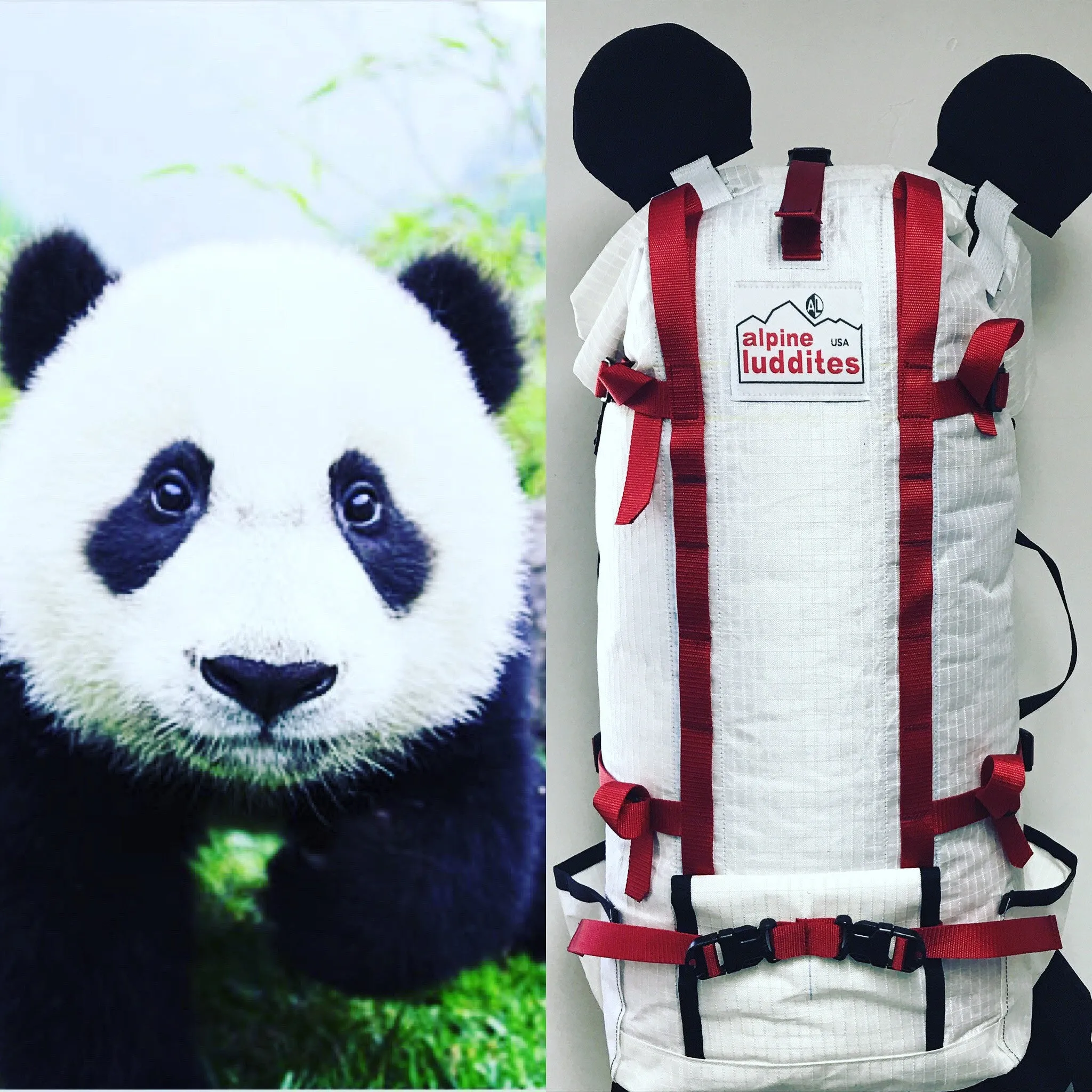 Full Custom Backpacks