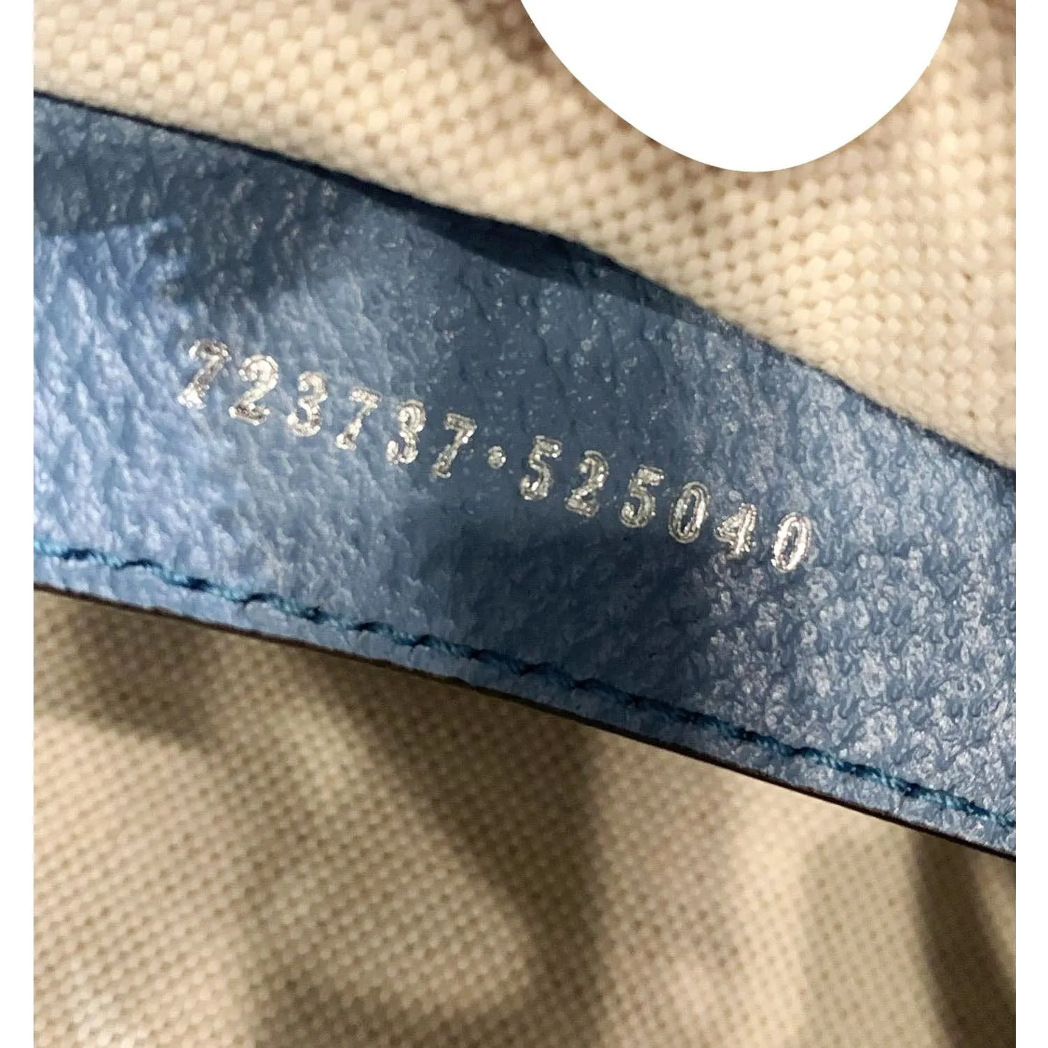 GUCCI X Palace Half Moon Mini GG-P Canvas Shoulder Bag Light Blue 723737
