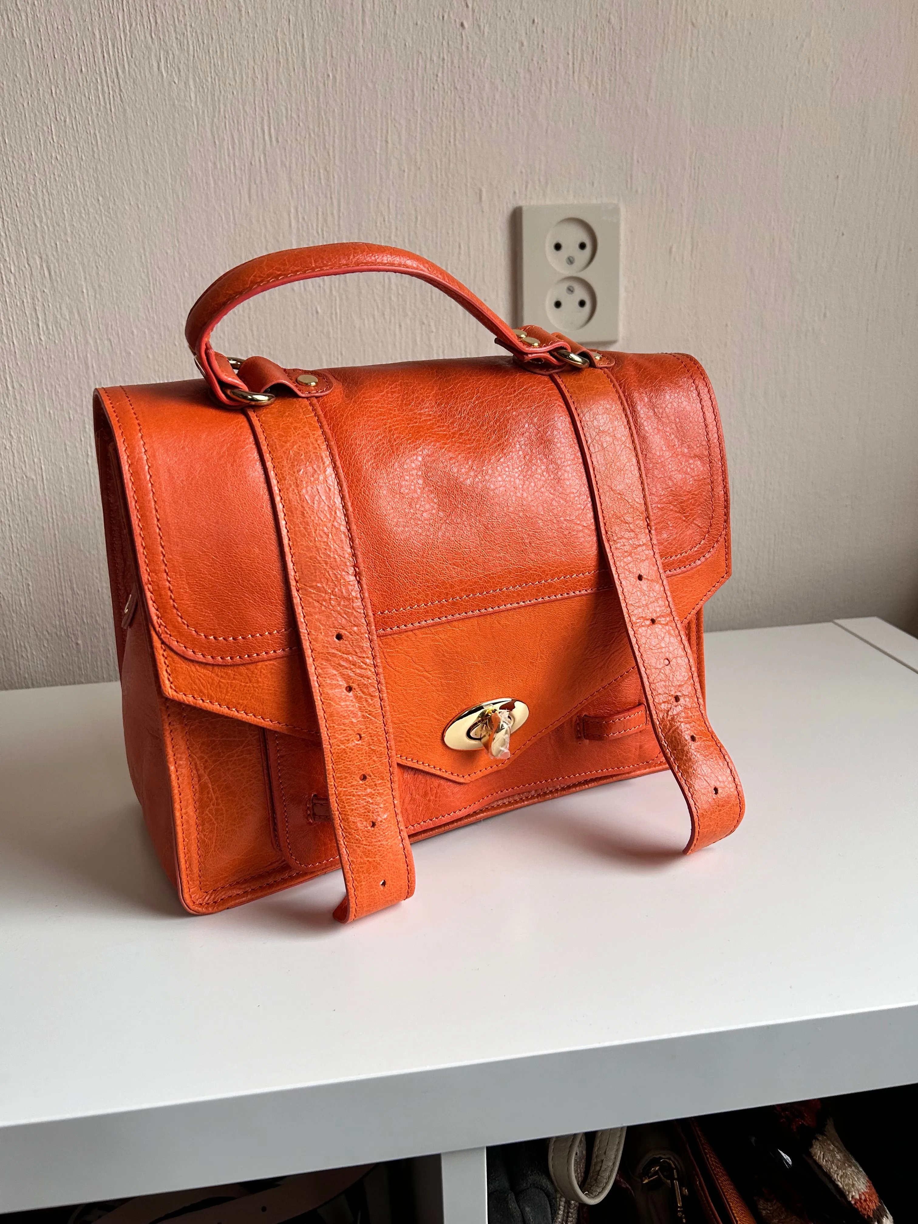 Italian leather organizer handbag