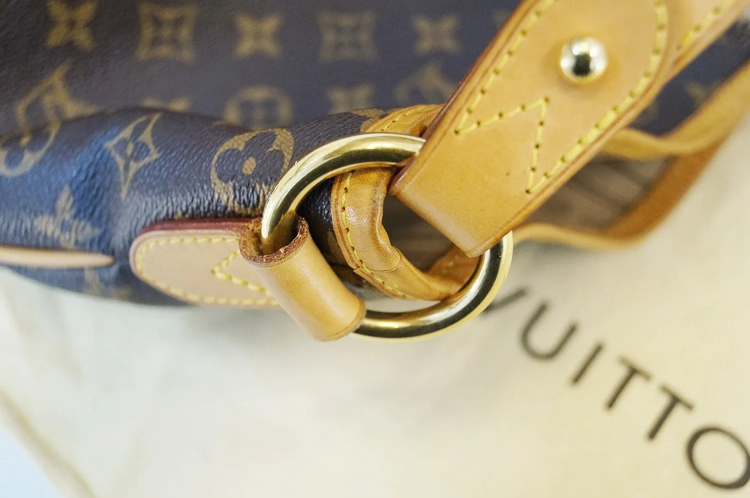 LOUIS VUITTON Delightful PM Monogram Shoulder Bag Hobo
