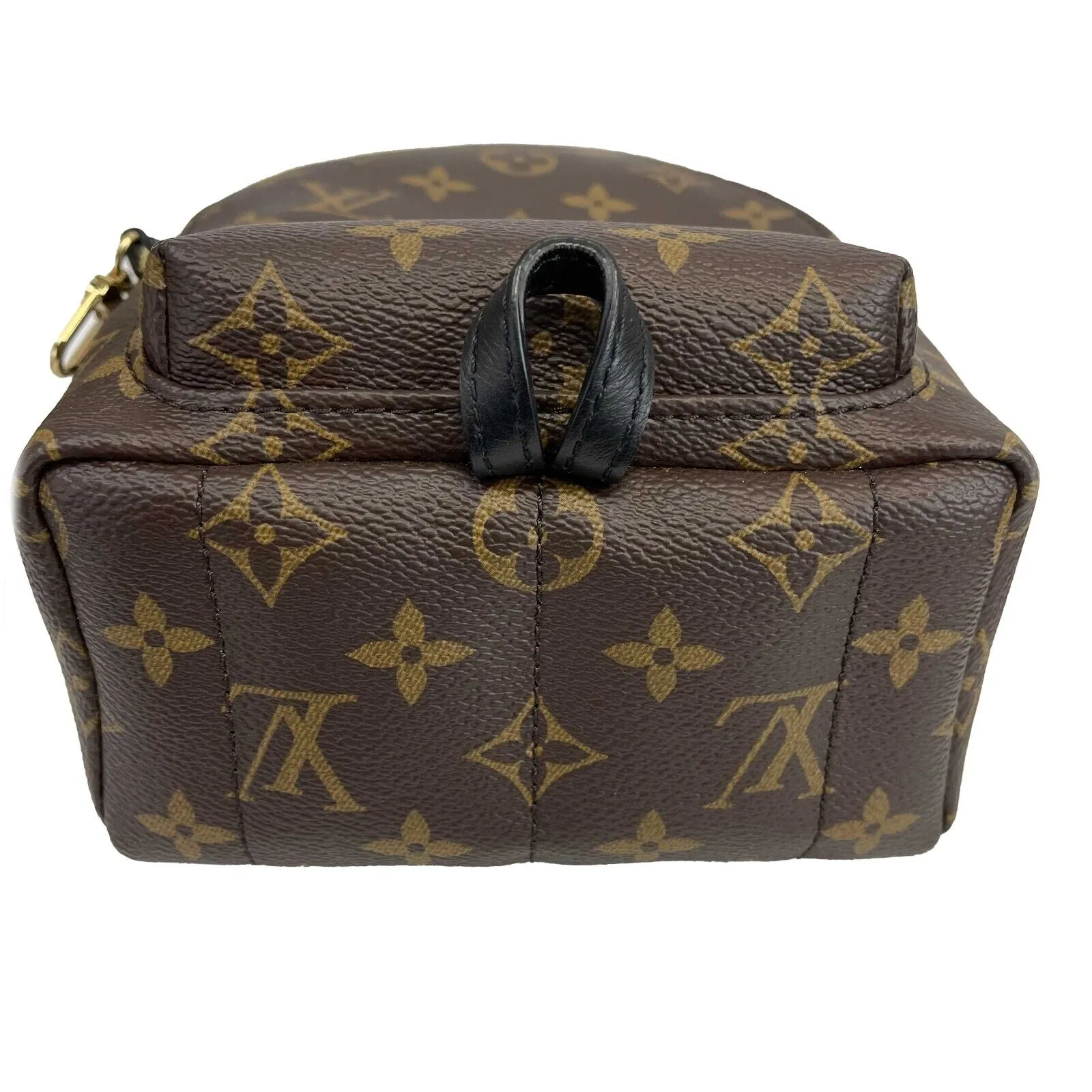 Louis Vuitton - LV - NEW Palm Springs Monogram Mini Crossbody w / 1 strap