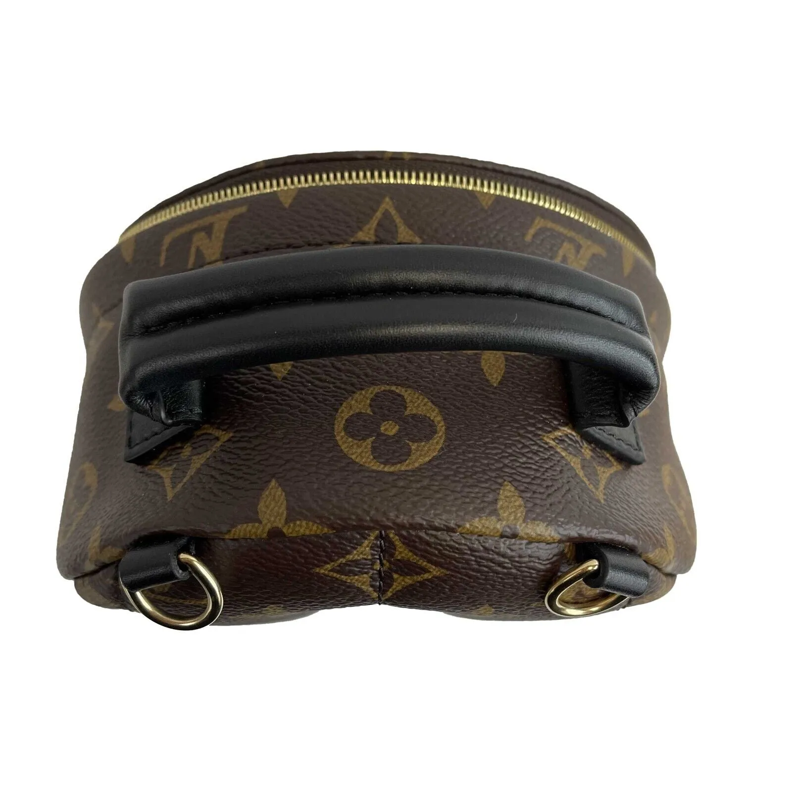 Louis Vuitton - LV - NEW Palm Springs Monogram Mini Crossbody w / 1 strap