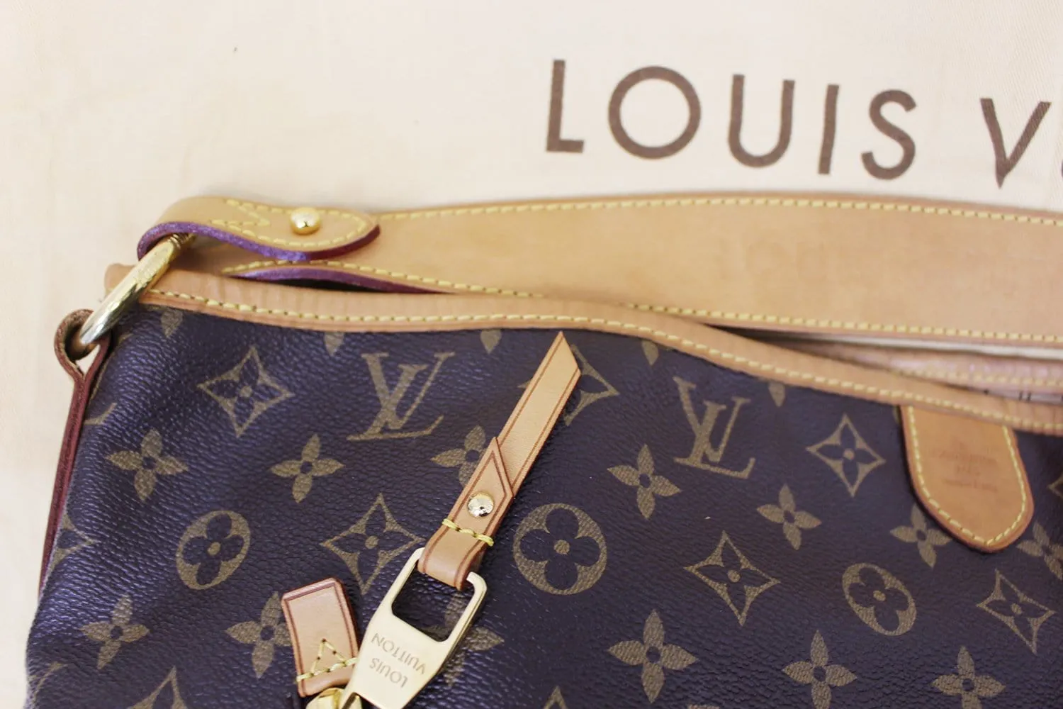 LOUIS VUITTON Monogram Delightful GM Shoulder Bag