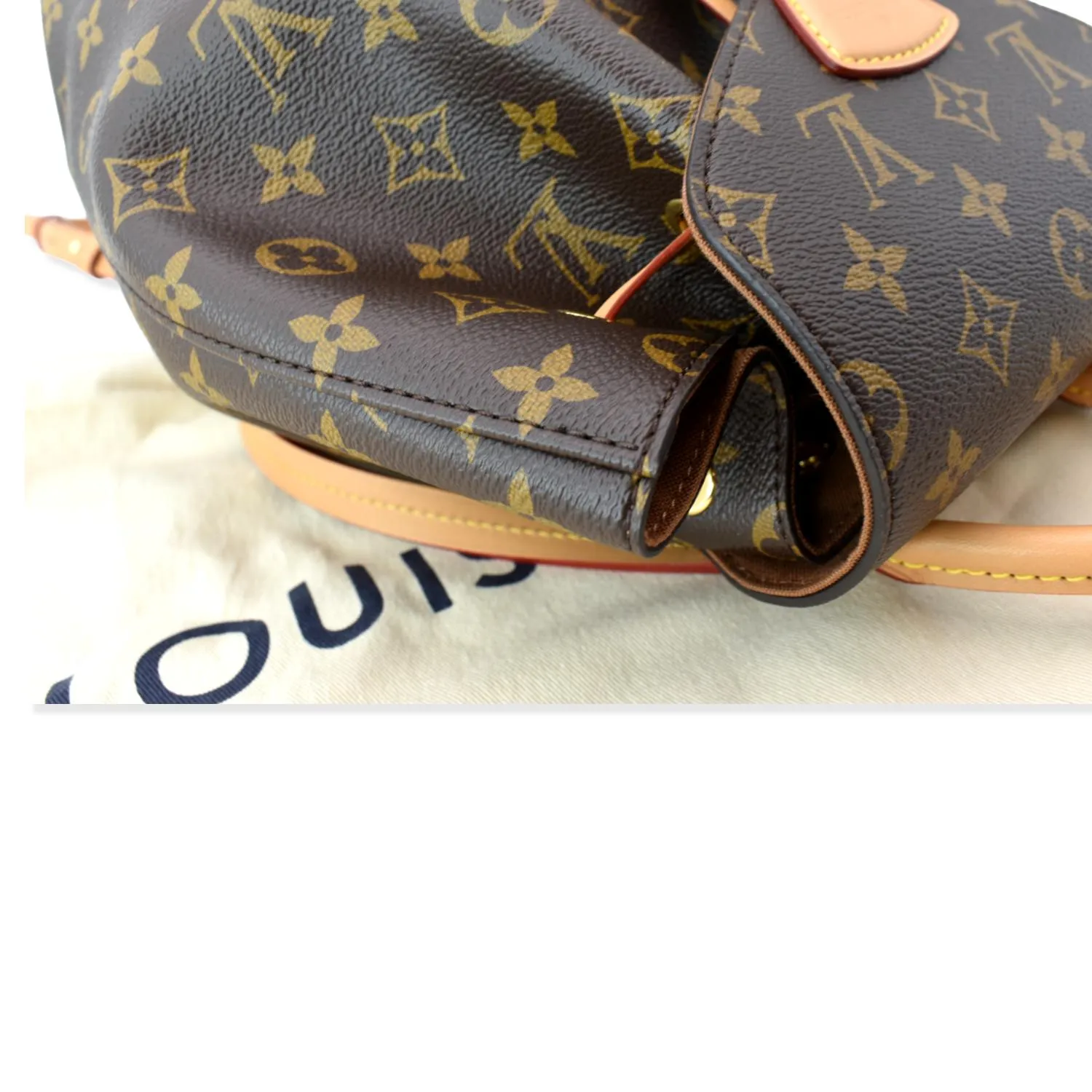 LOUIS VUITTON Montsouris PM Monogram Canvas Backpack Brown