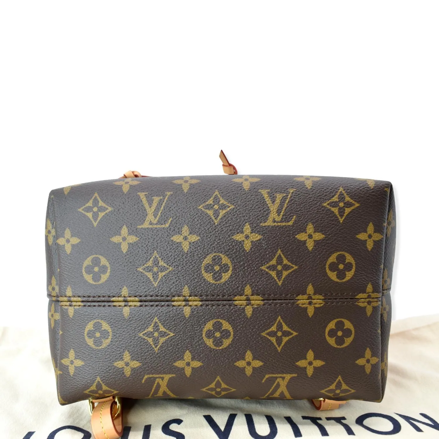 LOUIS VUITTON Montsouris PM Monogram Canvas Backpack Brown