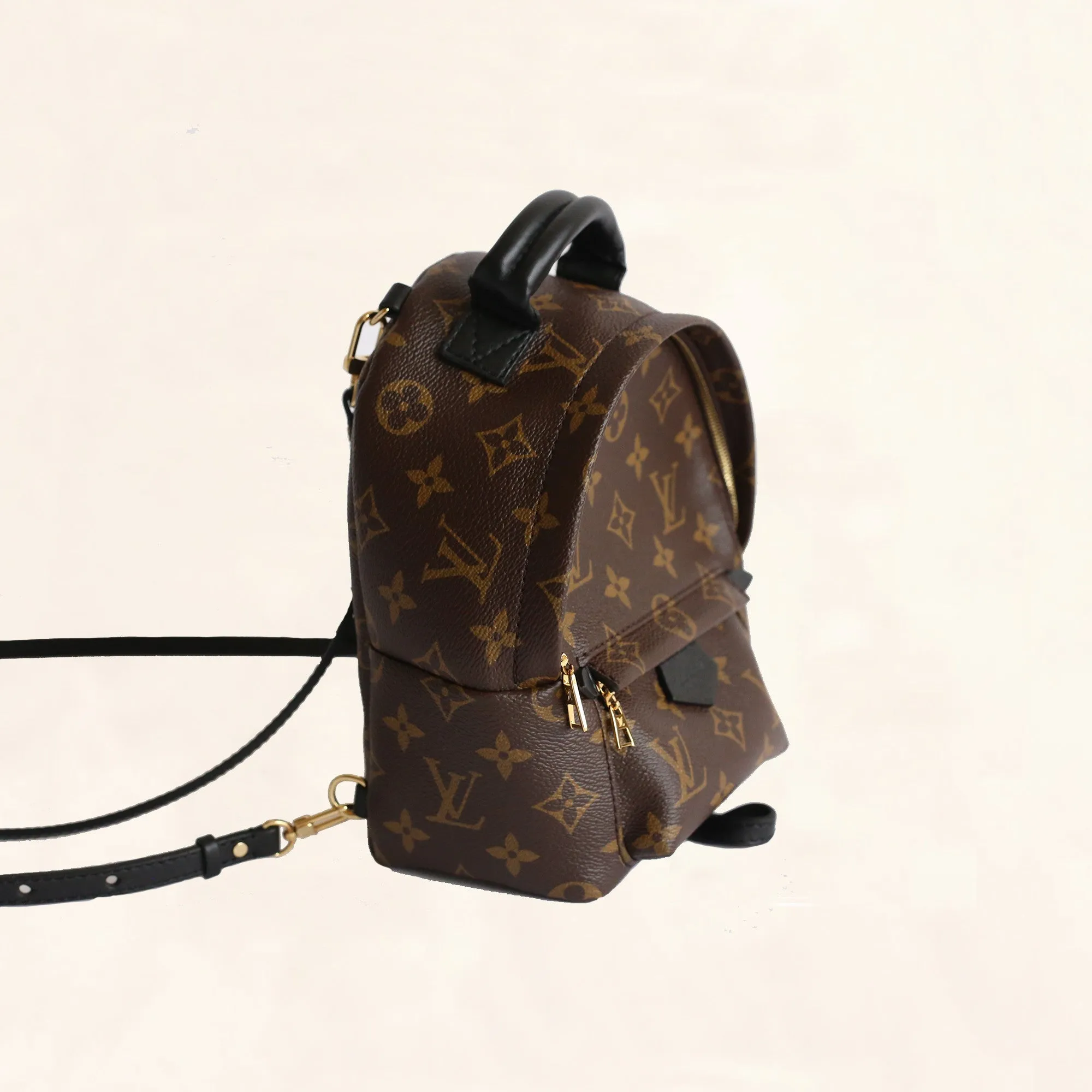 Louis Vuitton | Palm Springs Backpack | Mini