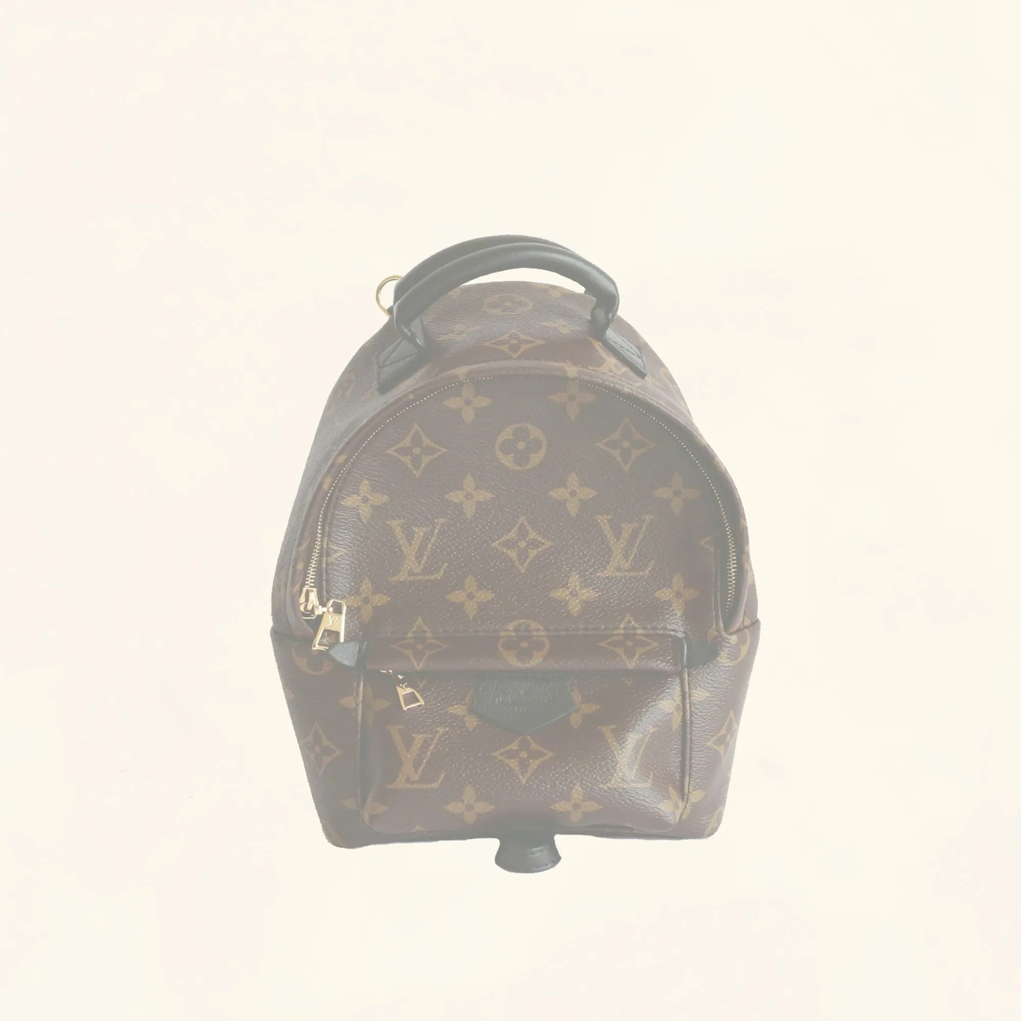 Louis Vuitton | Palm Springs Backpack | Mini