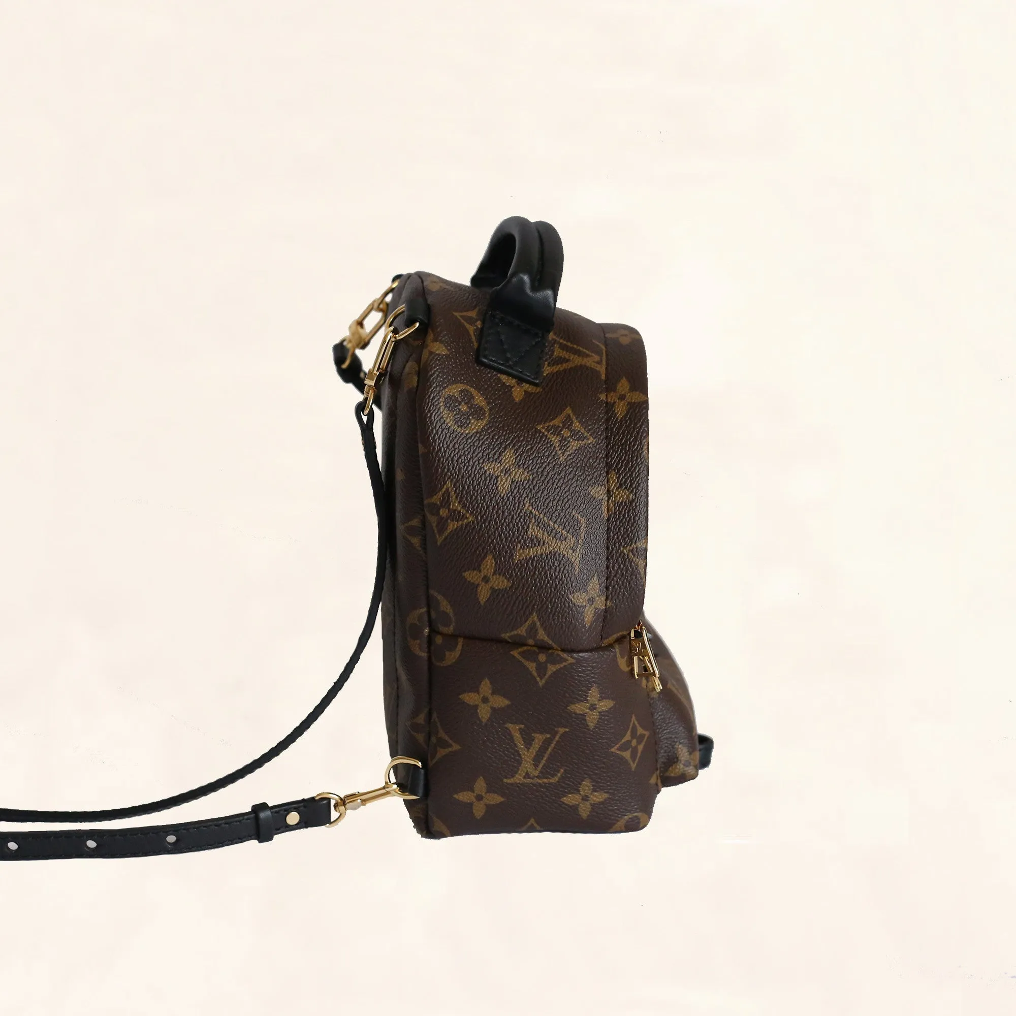 Louis Vuitton | Palm Springs Backpack | Mini