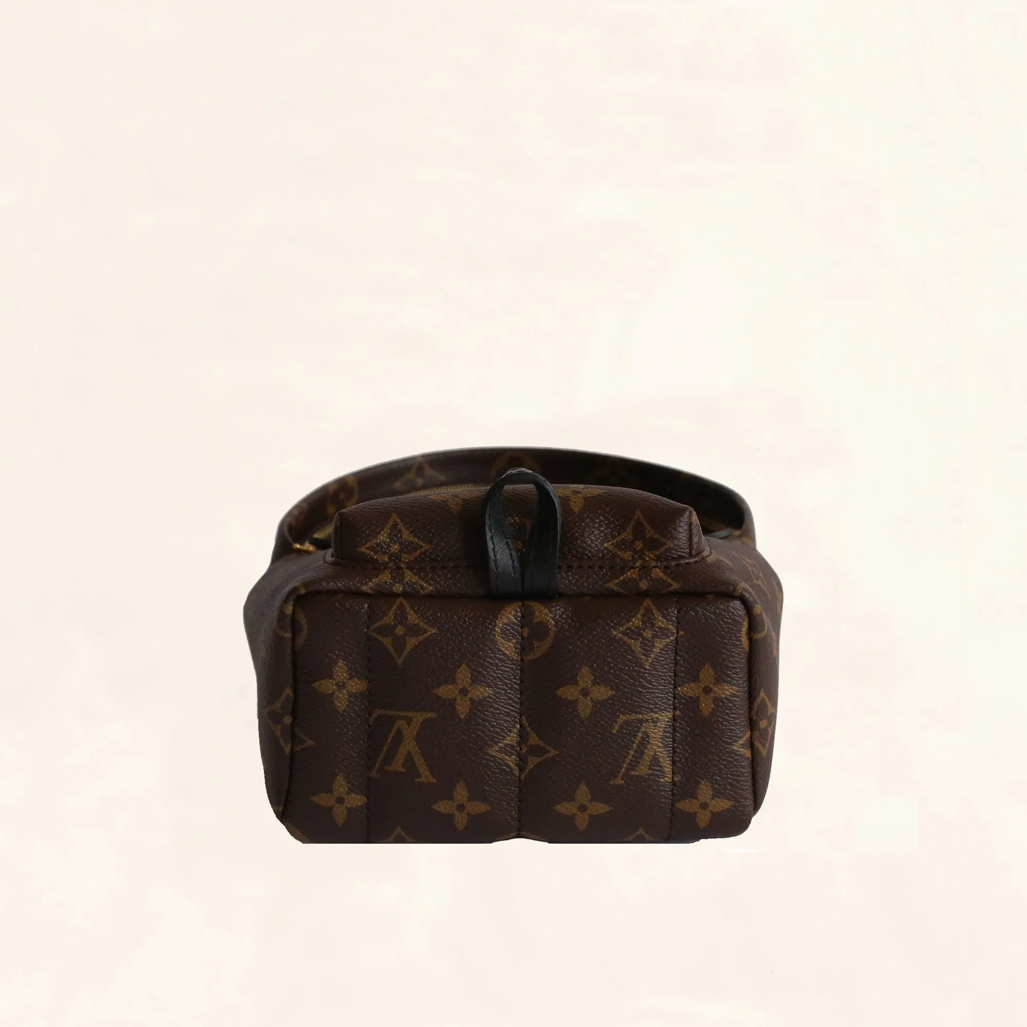 Louis Vuitton | Palm Springs Backpack | Mini
