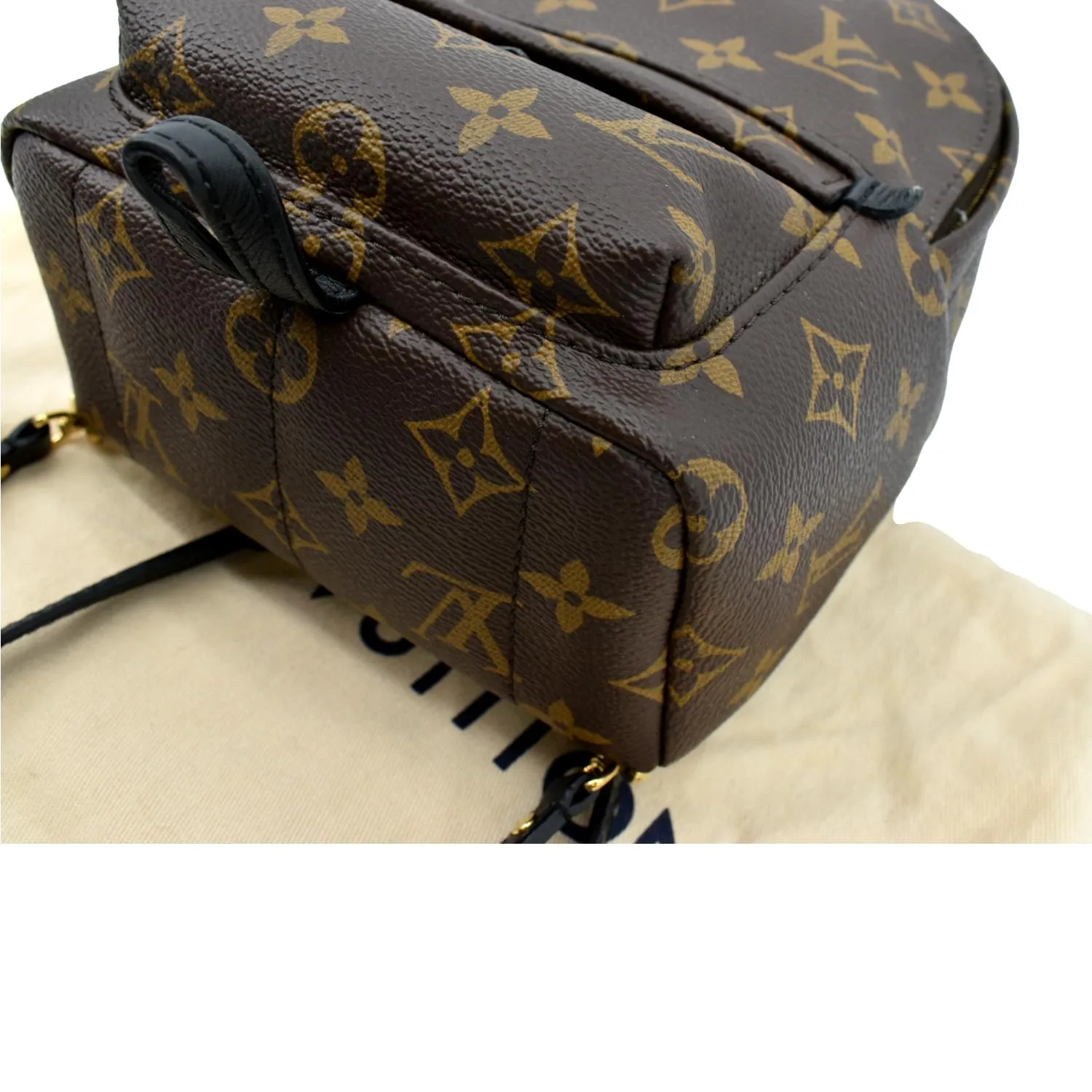 LOUIS VUITTON Palm Springs Mini Monogram Canvas Backpack Brown