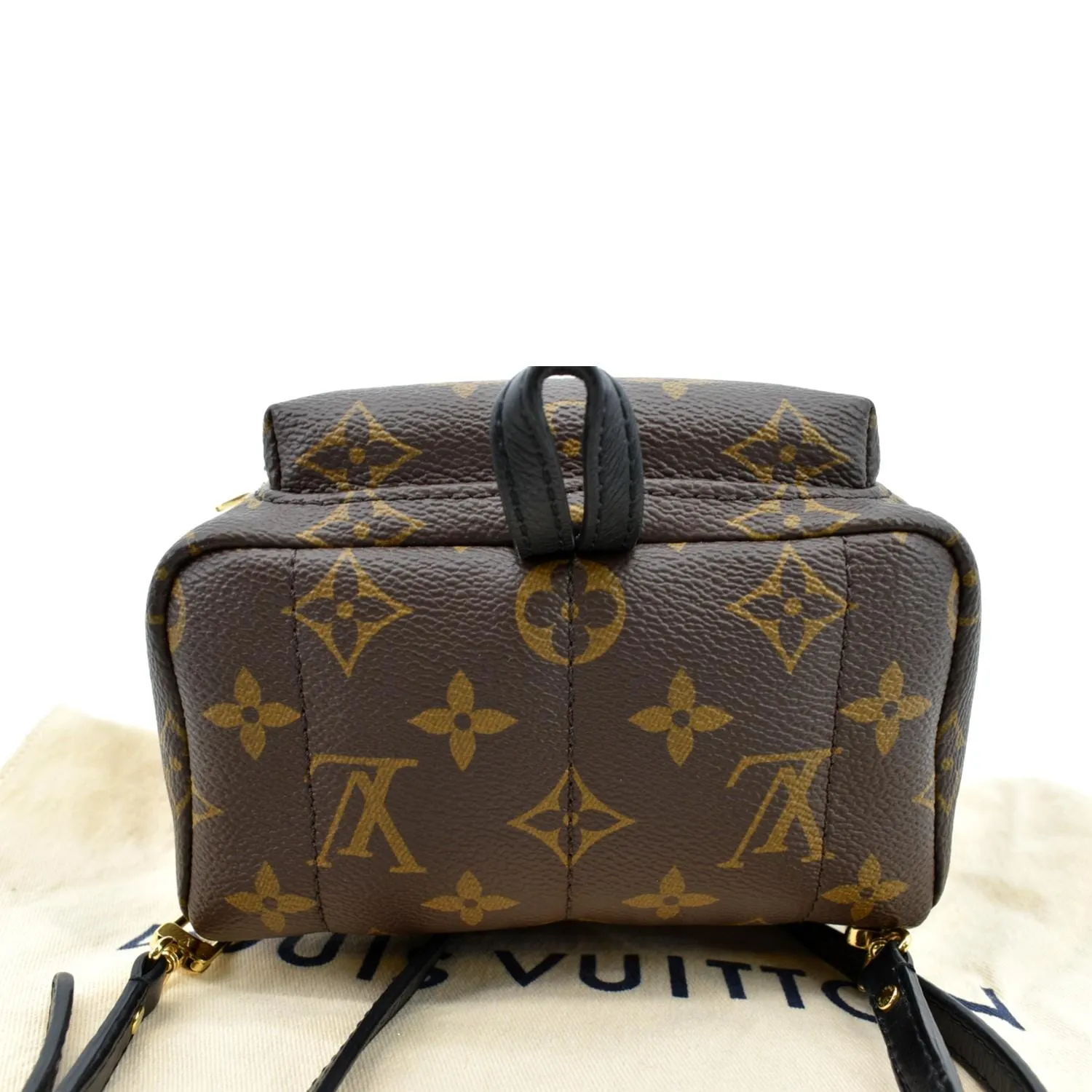 LOUIS VUITTON Palm Springs Mini Monogram Canvas Backpack Brown