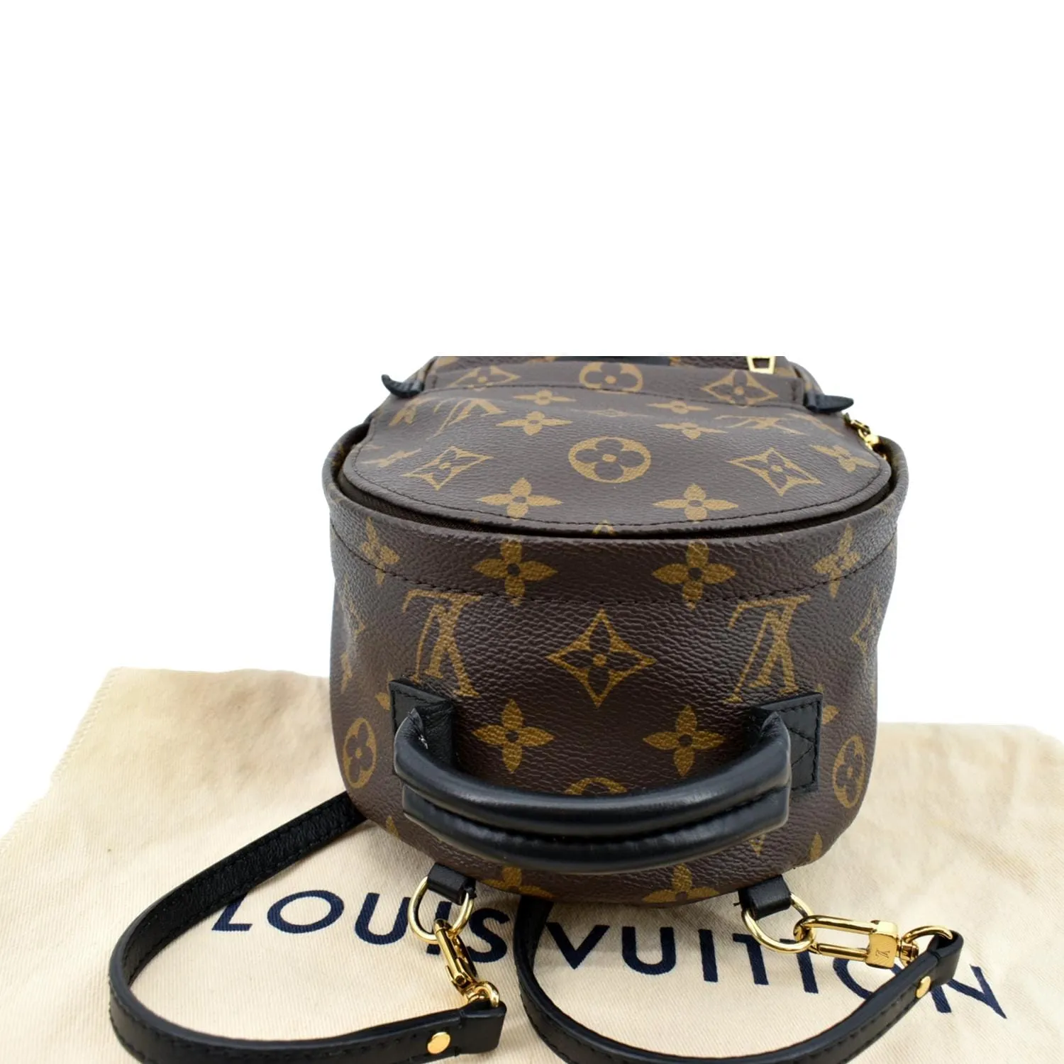LOUIS VUITTON Palm Springs Mini Monogram Canvas Backpack Brown