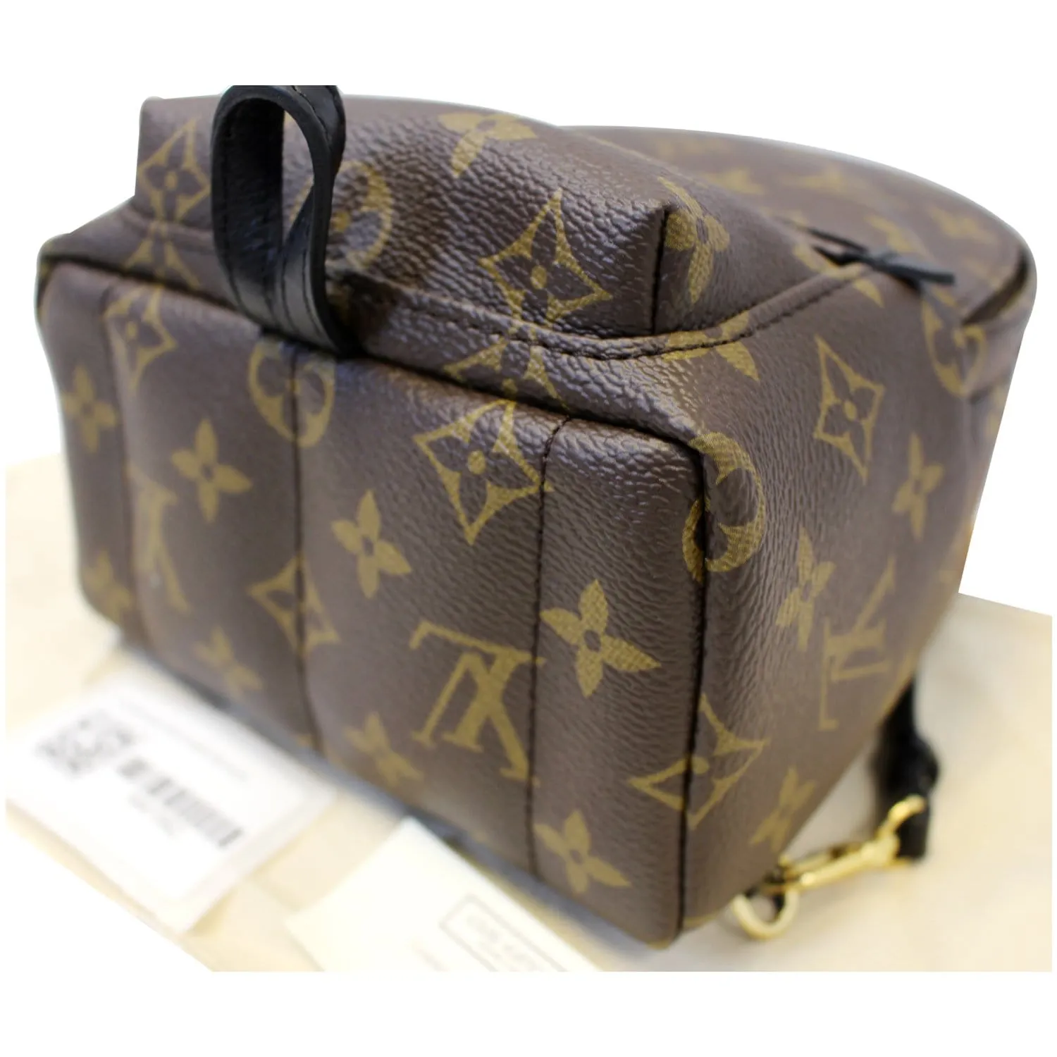 LOUIS VUITTON Palm Springs Mini Monogram Canvas Backpack