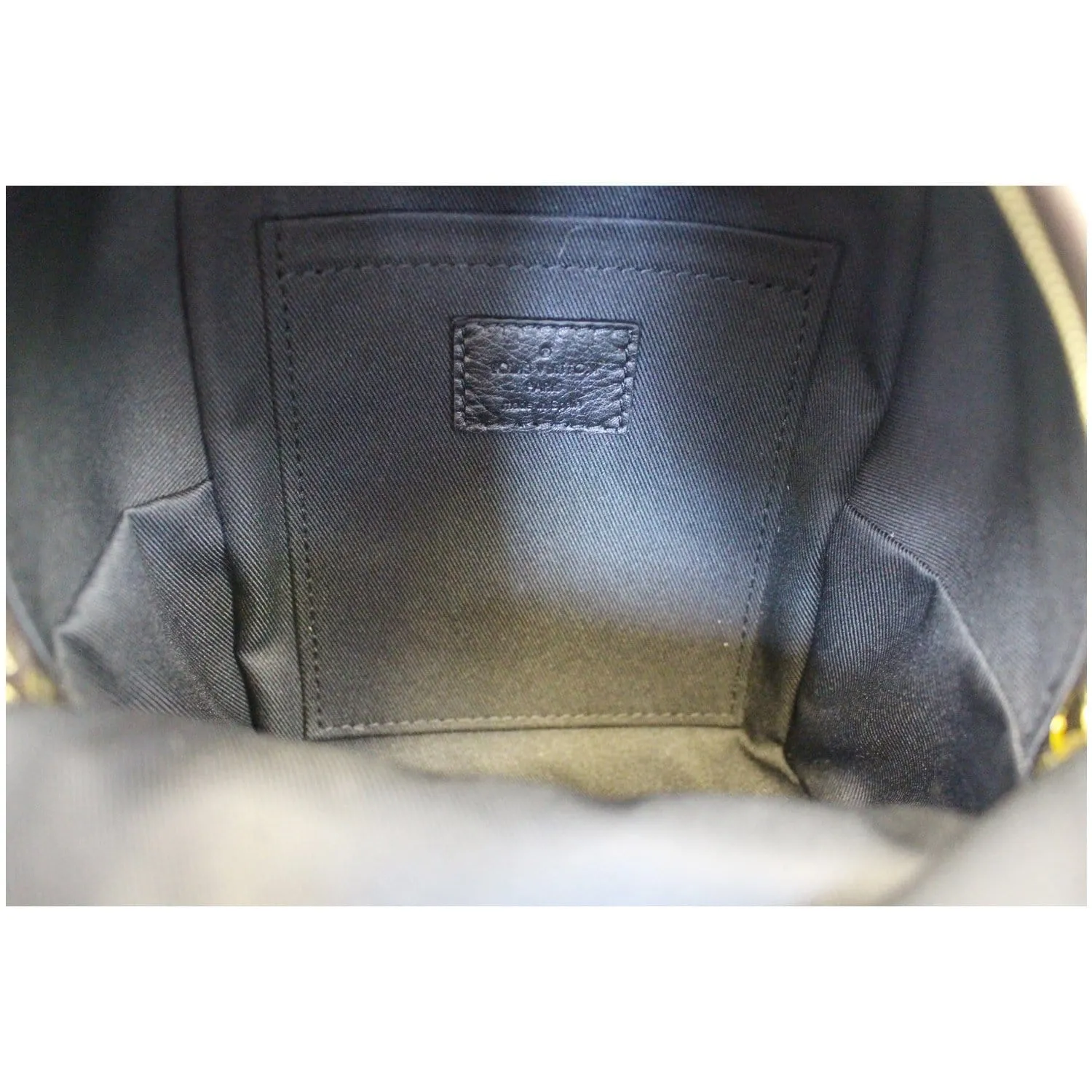 LOUIS VUITTON Palm Springs Mini Monogram Canvas Backpack