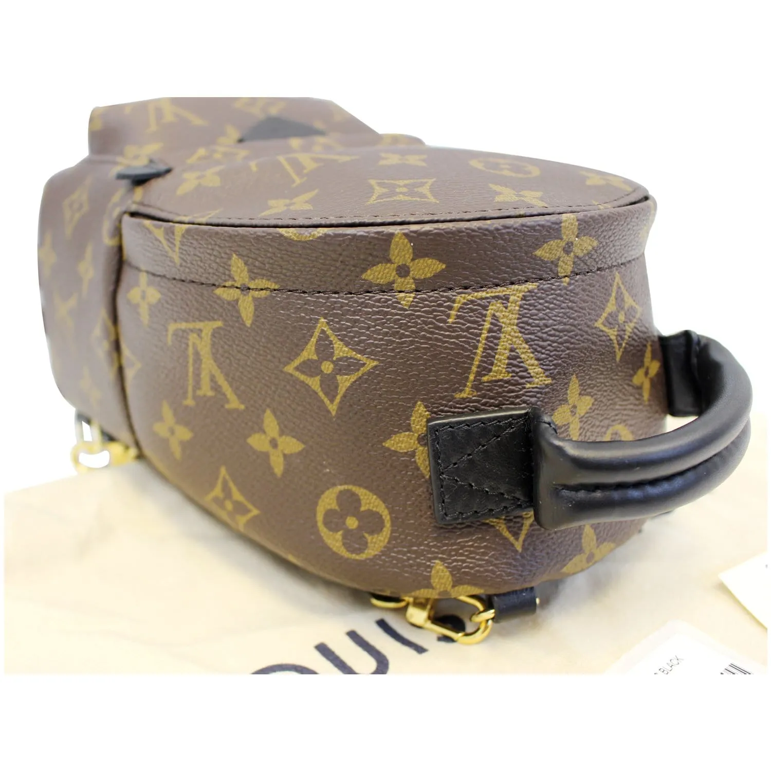 LOUIS VUITTON Palm Springs Mini Monogram Canvas Backpack