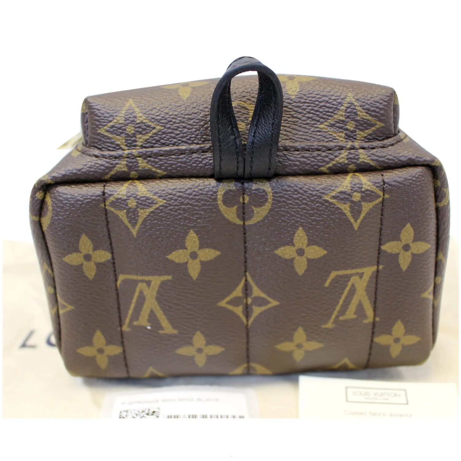 LOUIS VUITTON Palm Springs Mini Monogram Canvas Backpack