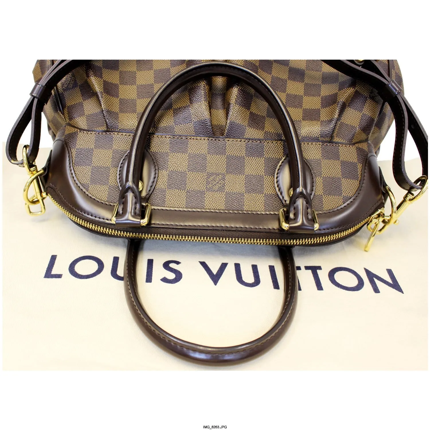 LOUIS VUITTON Trevi PM Damier Ebene Brown Shoulder Bag
