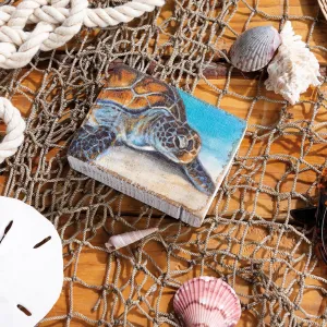 Mini Sea Turtle Block Sign
