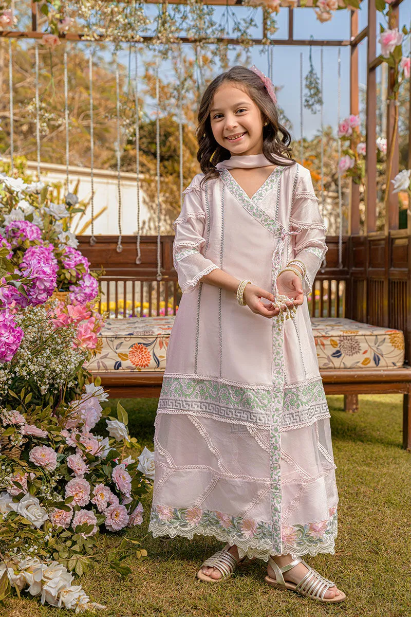 Mini Spanish Pink Angharkha