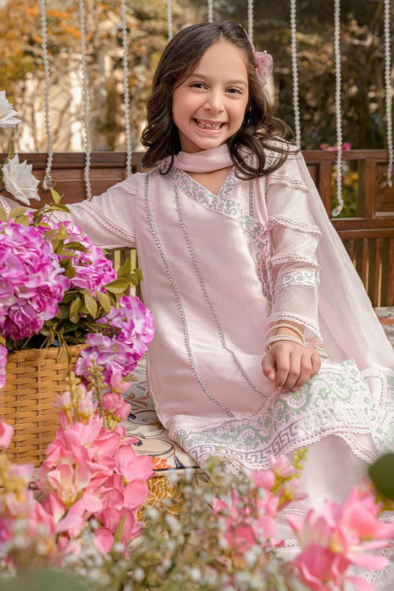 Mini Spanish Pink Angharkha