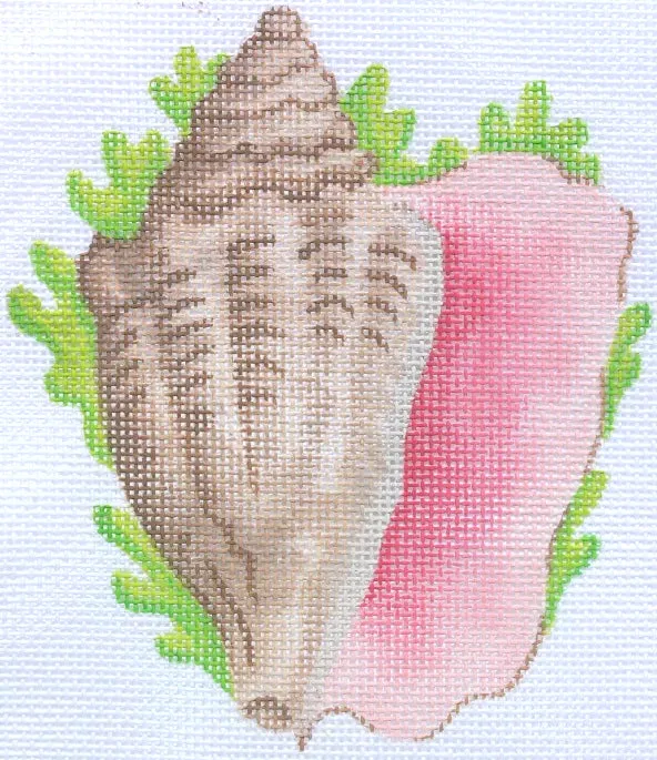 OM-81 - Tropical Mini – Conch Shell w/ Seaweed (February)