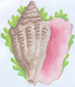 OM-81 - Tropical Mini – Conch Shell w/ Seaweed (February)
