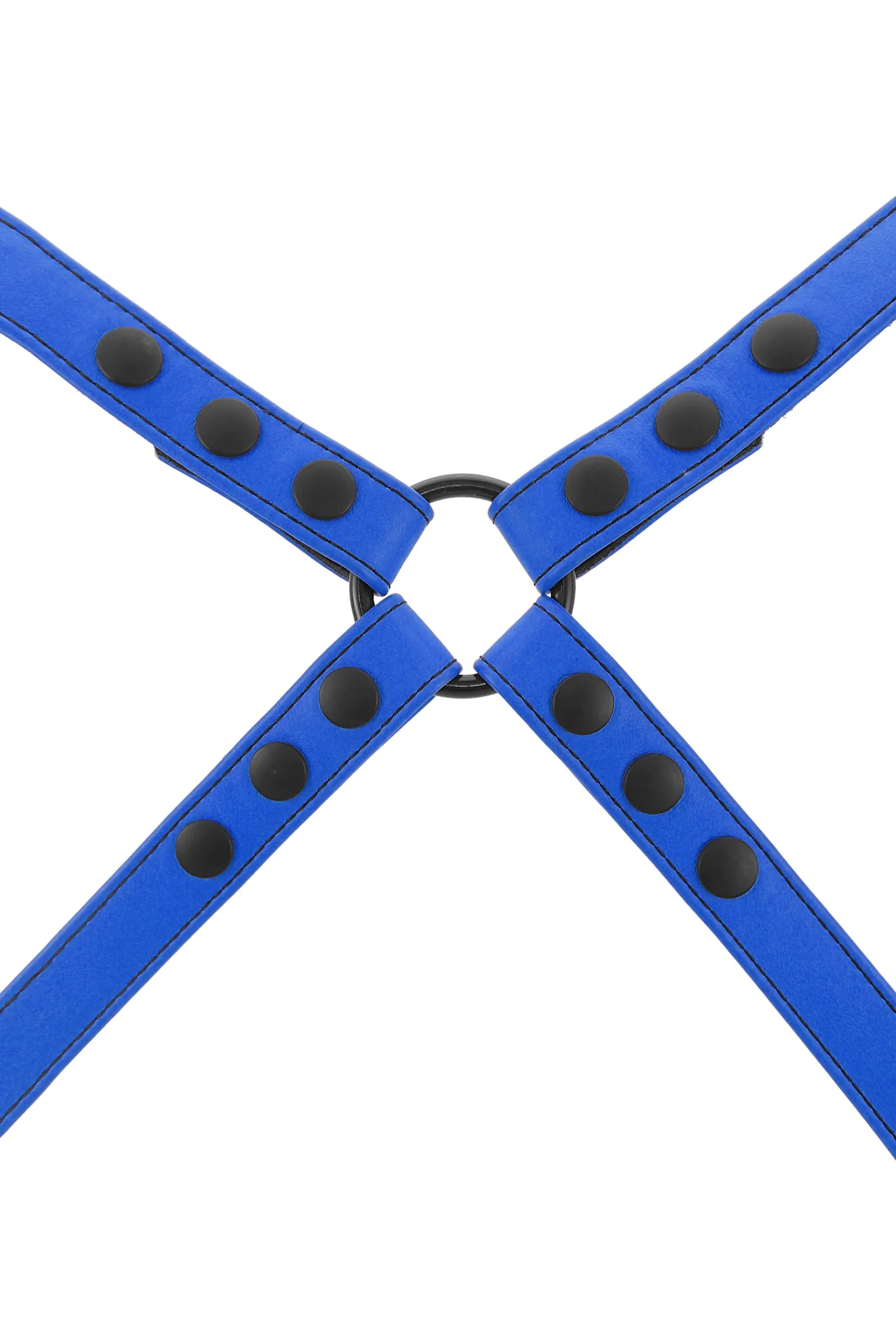 SHOULDER HARNESS - Colour